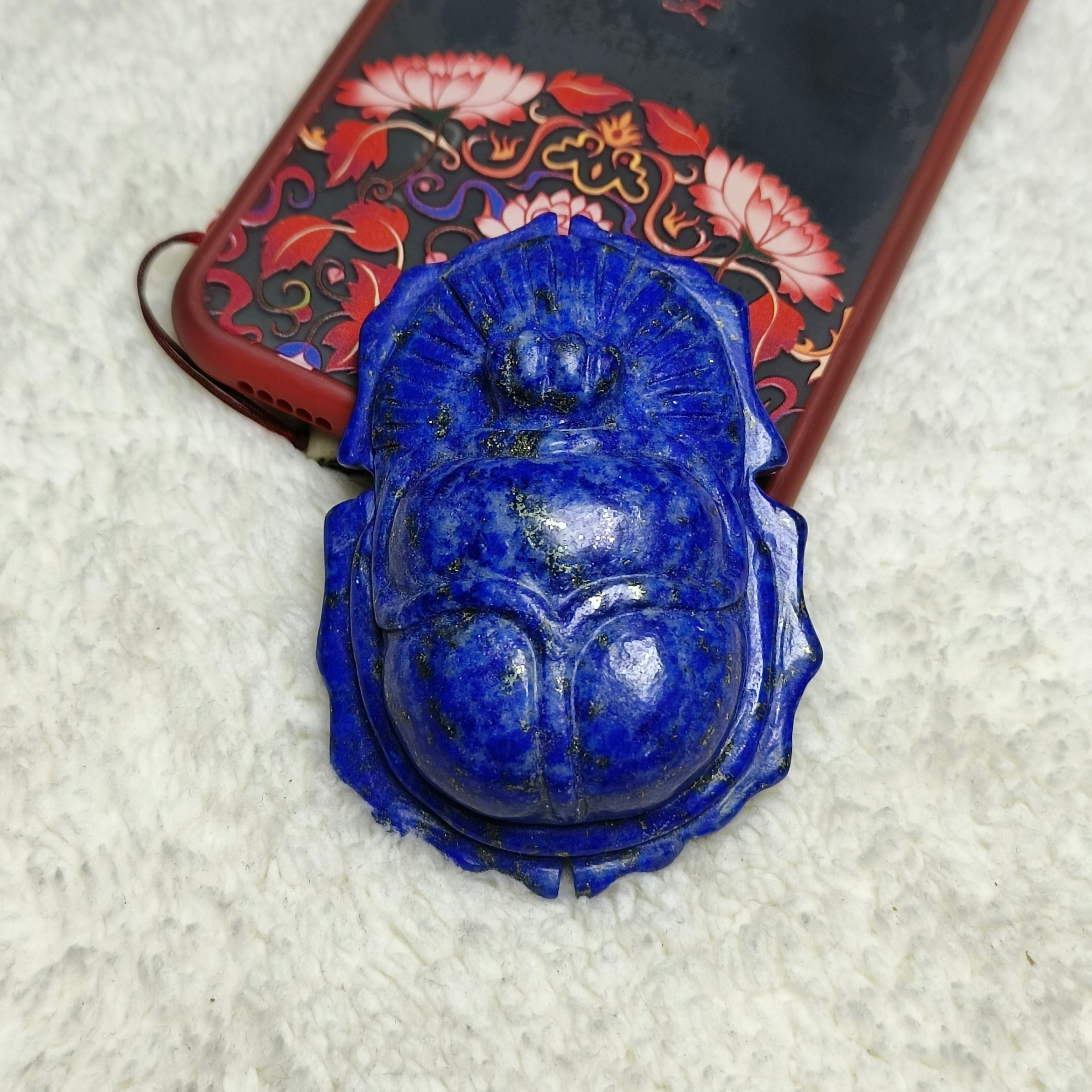 Lapis lazuli beetle