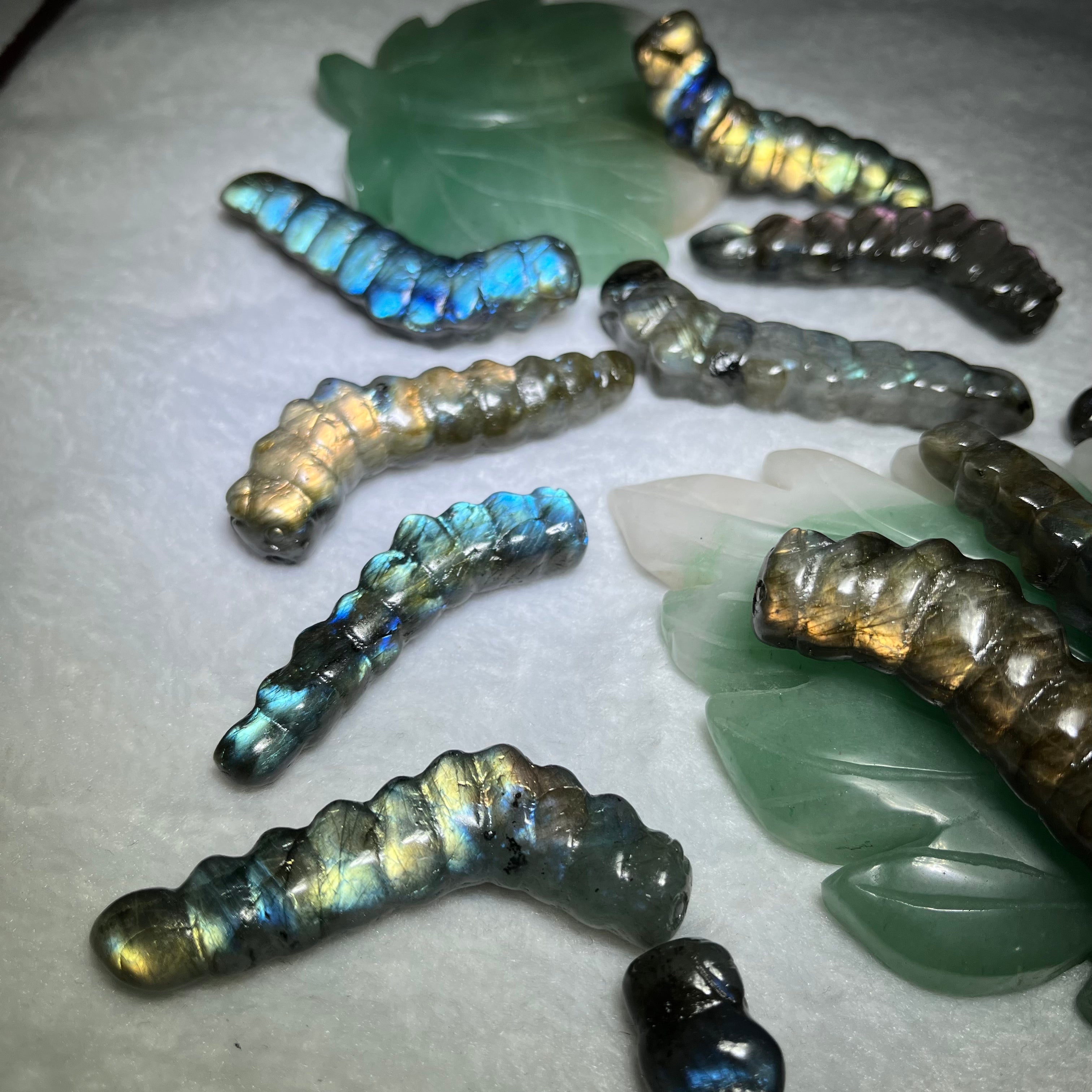 Labradorite caterpillar