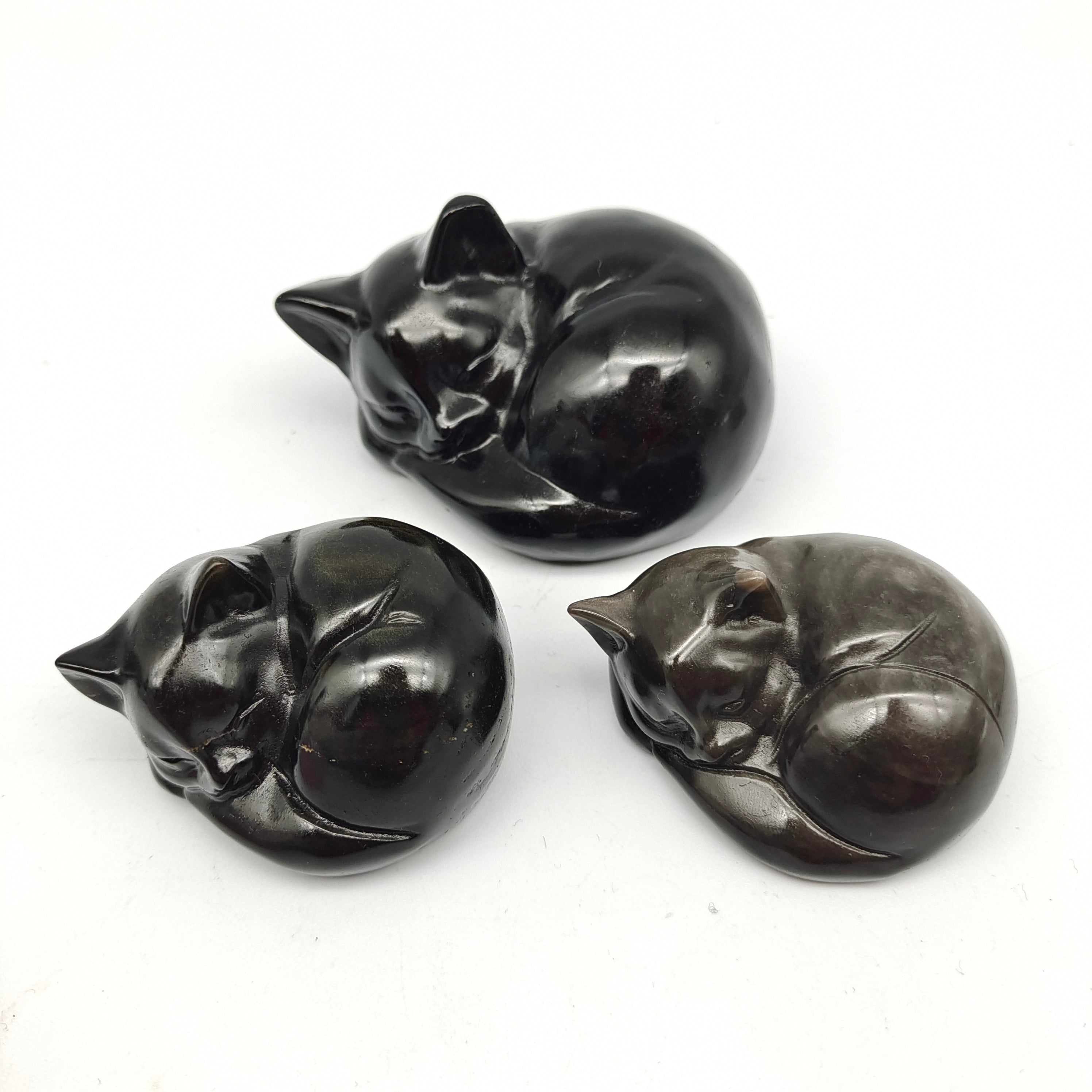 various materials of sleeping cats