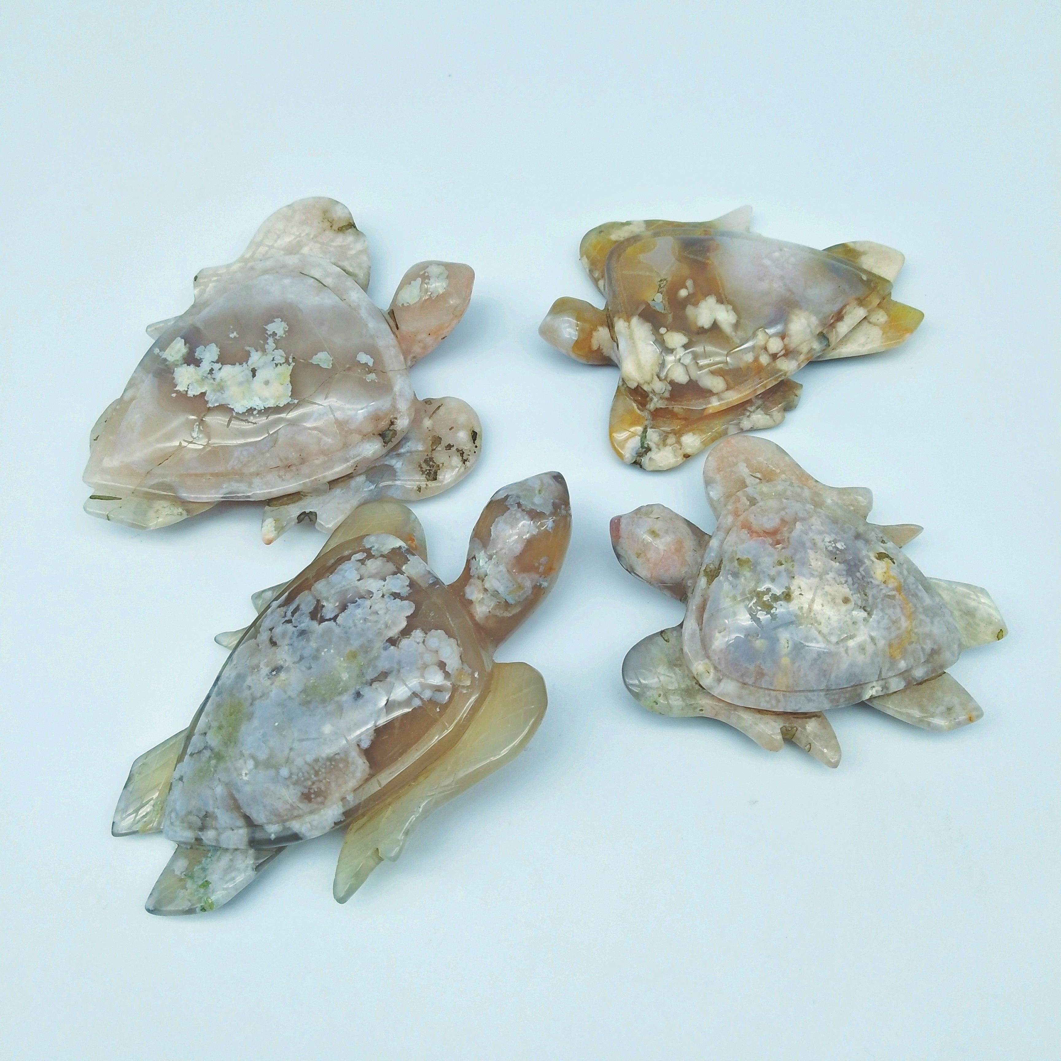 Flower agate tortoise