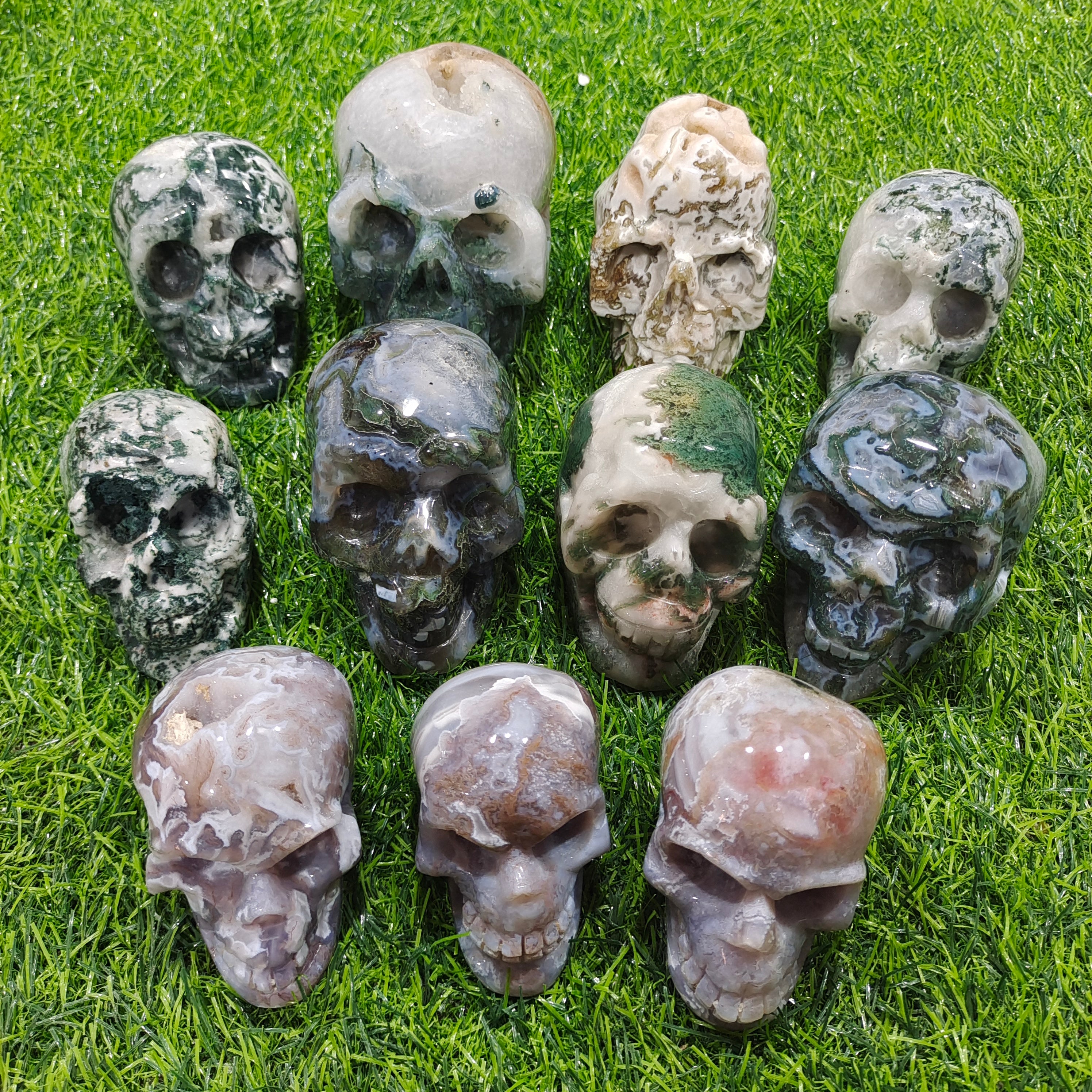 Skulls of various materials