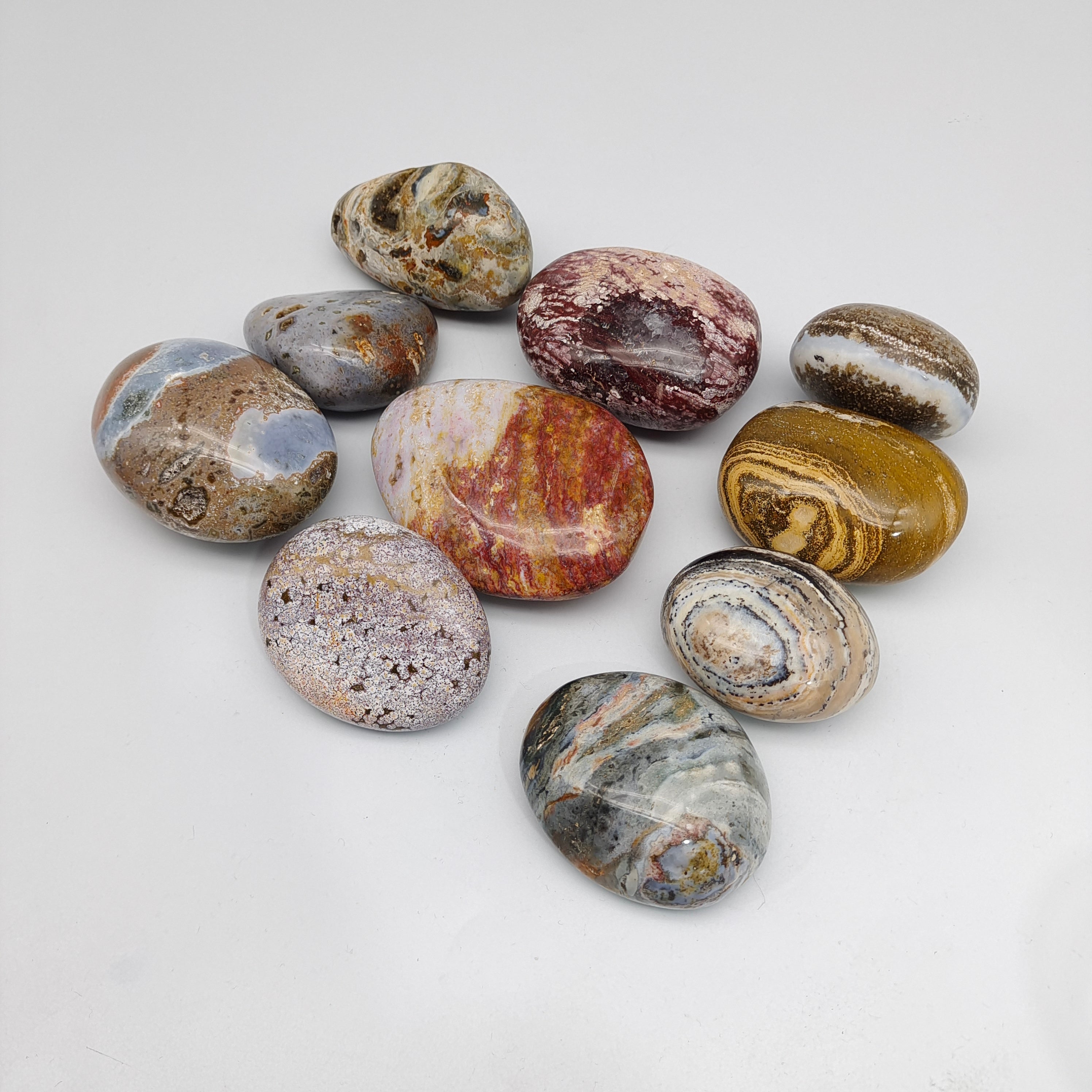 Ocean Jasper Palmstone