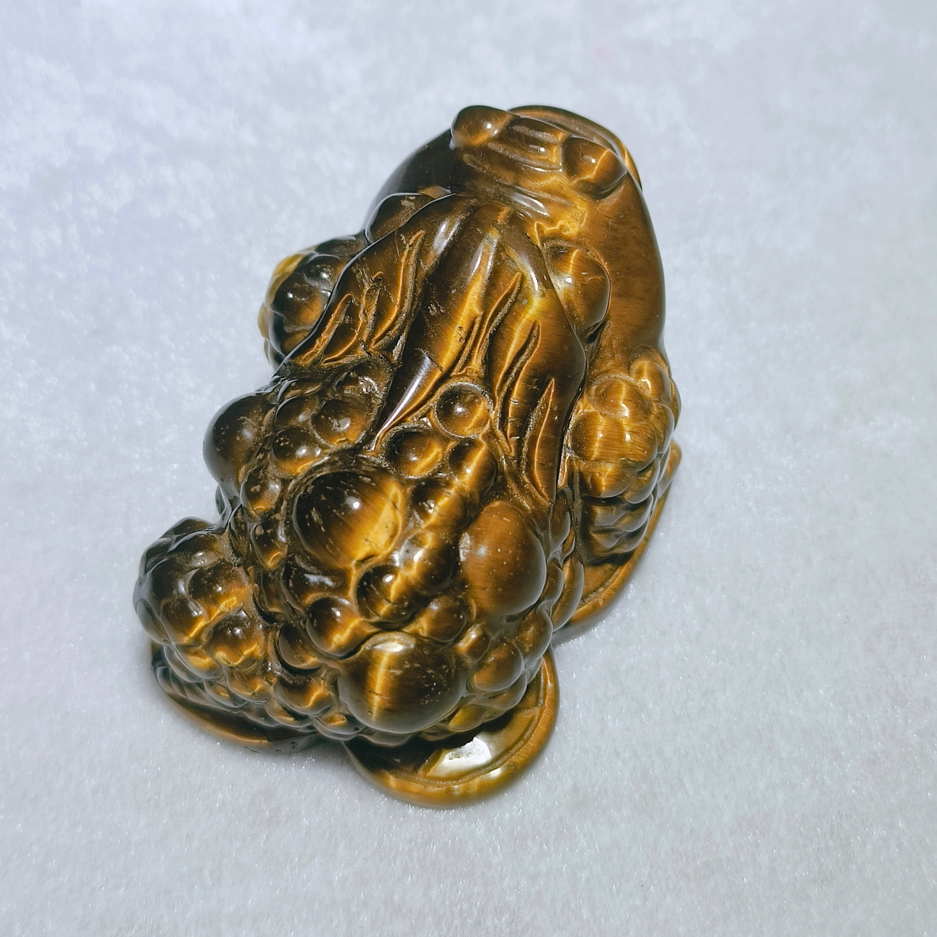 Yellow Tiger Eye Golden Toad