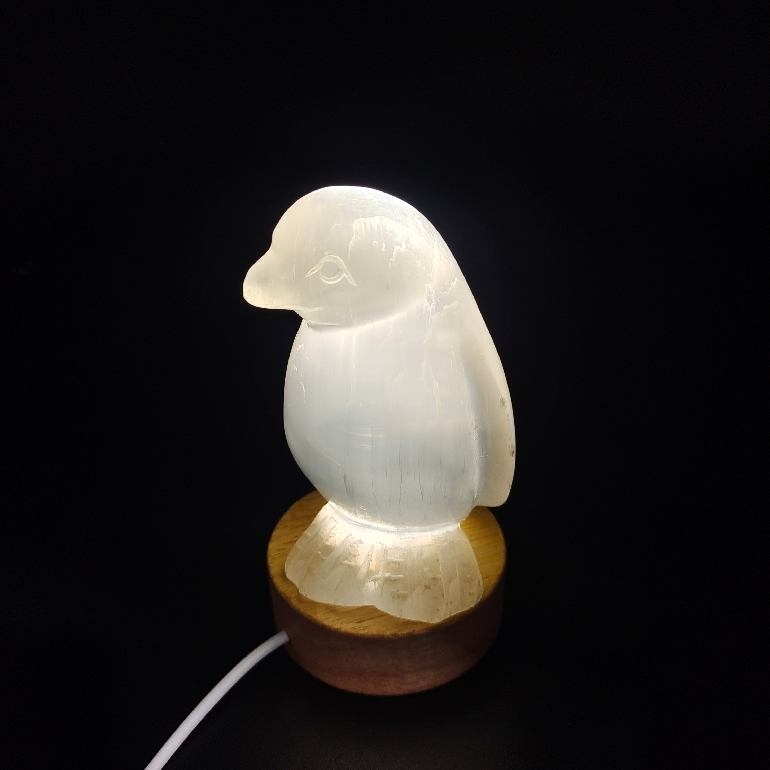 Selenite Penguin