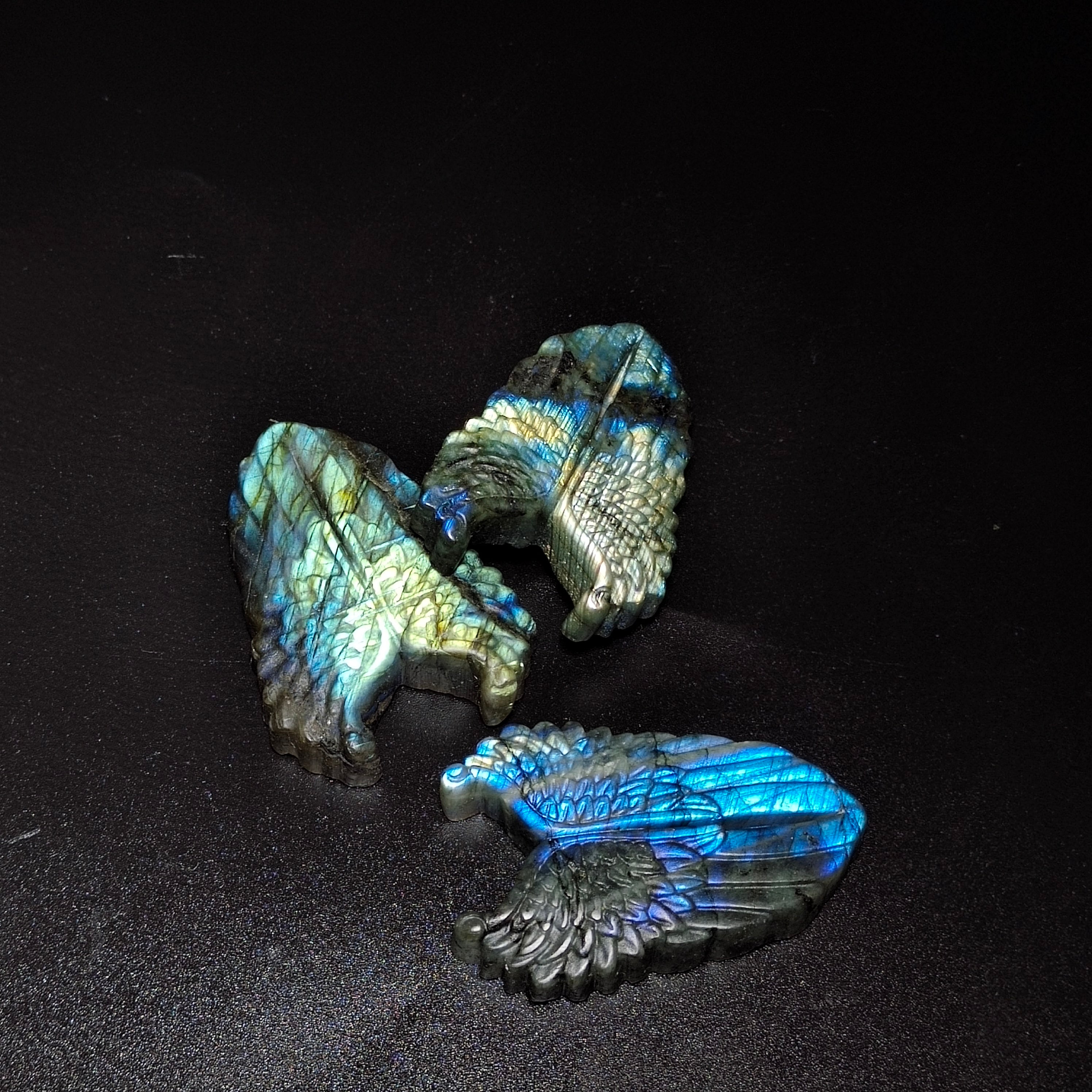 Labradorite wing