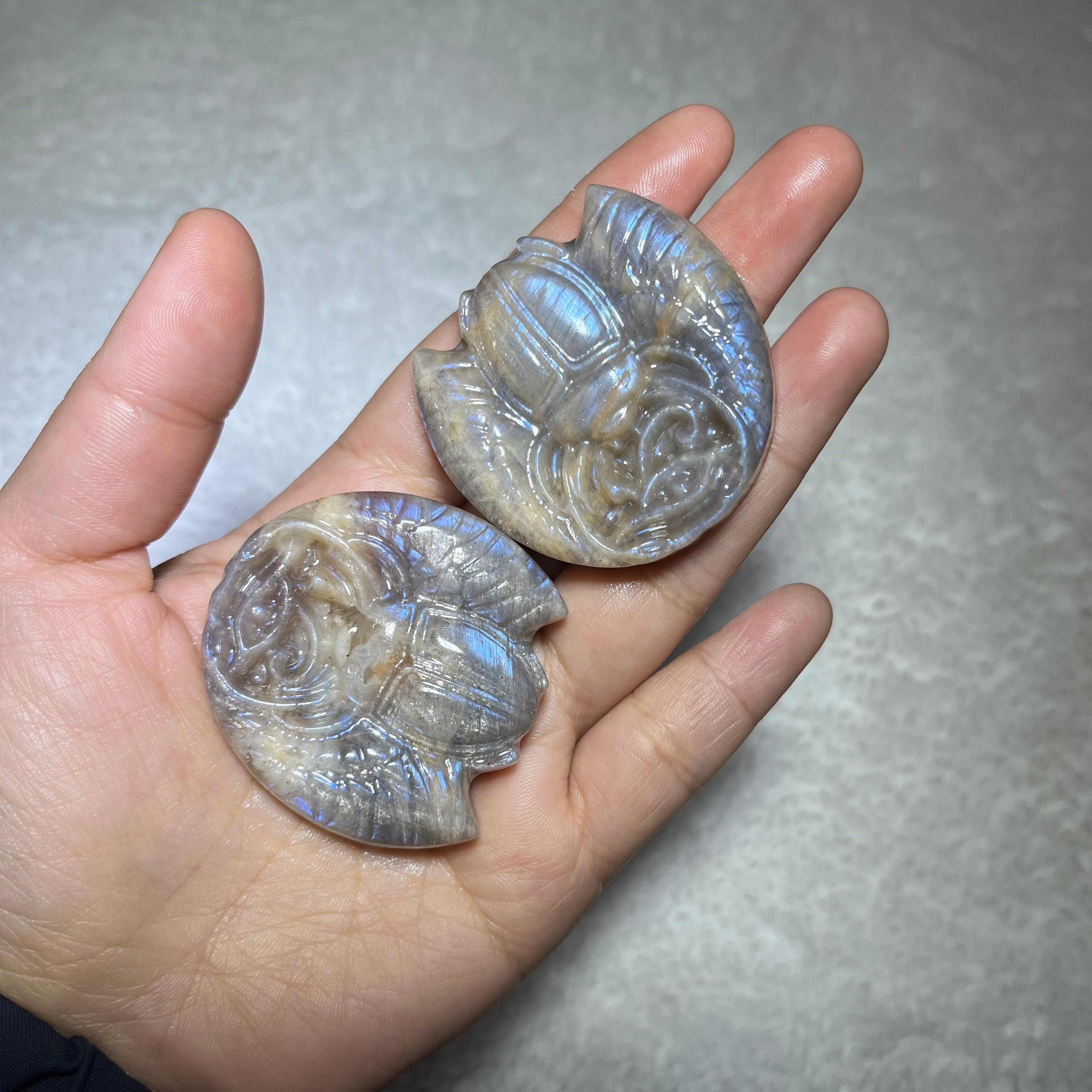 scarab of different materials