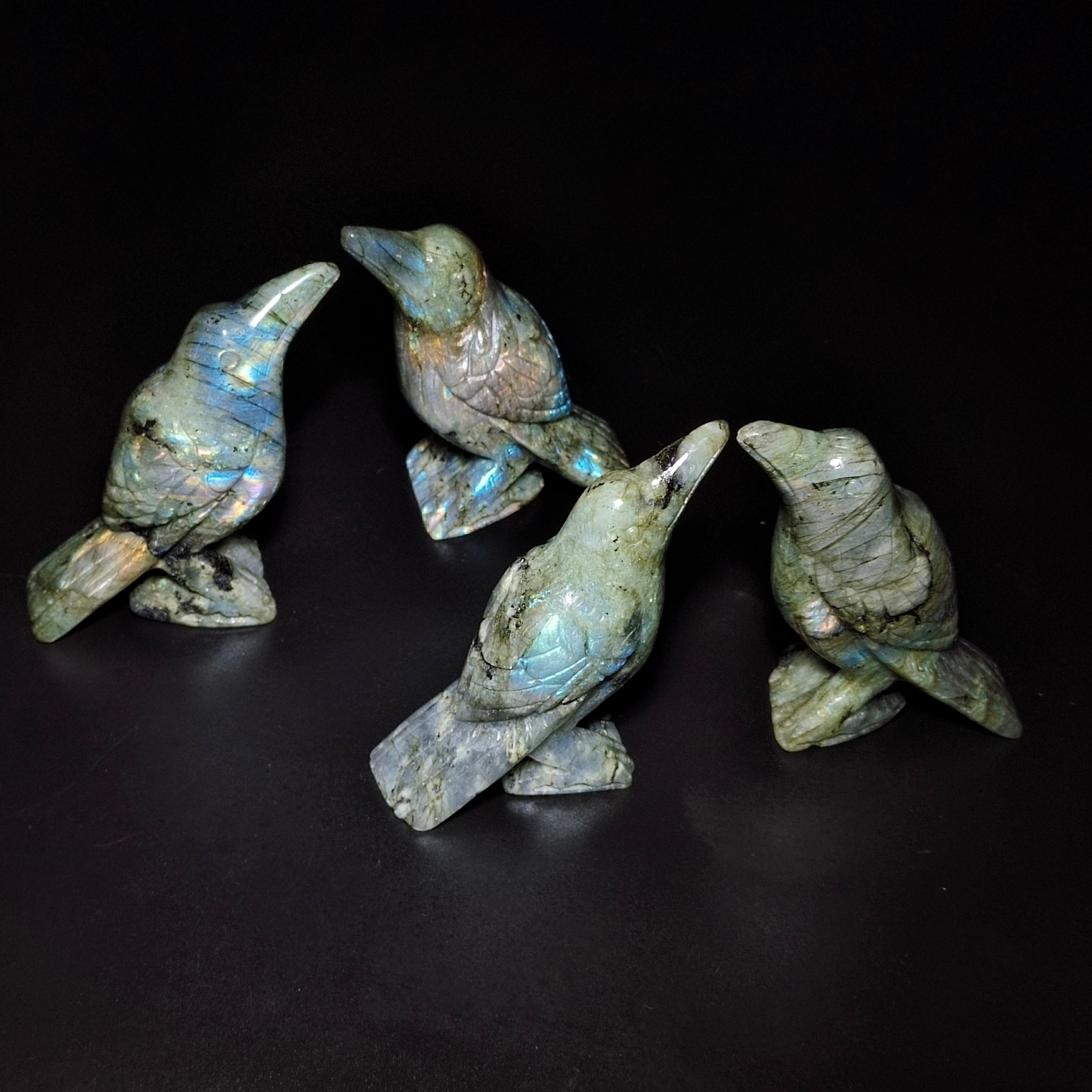 Labradorite bird