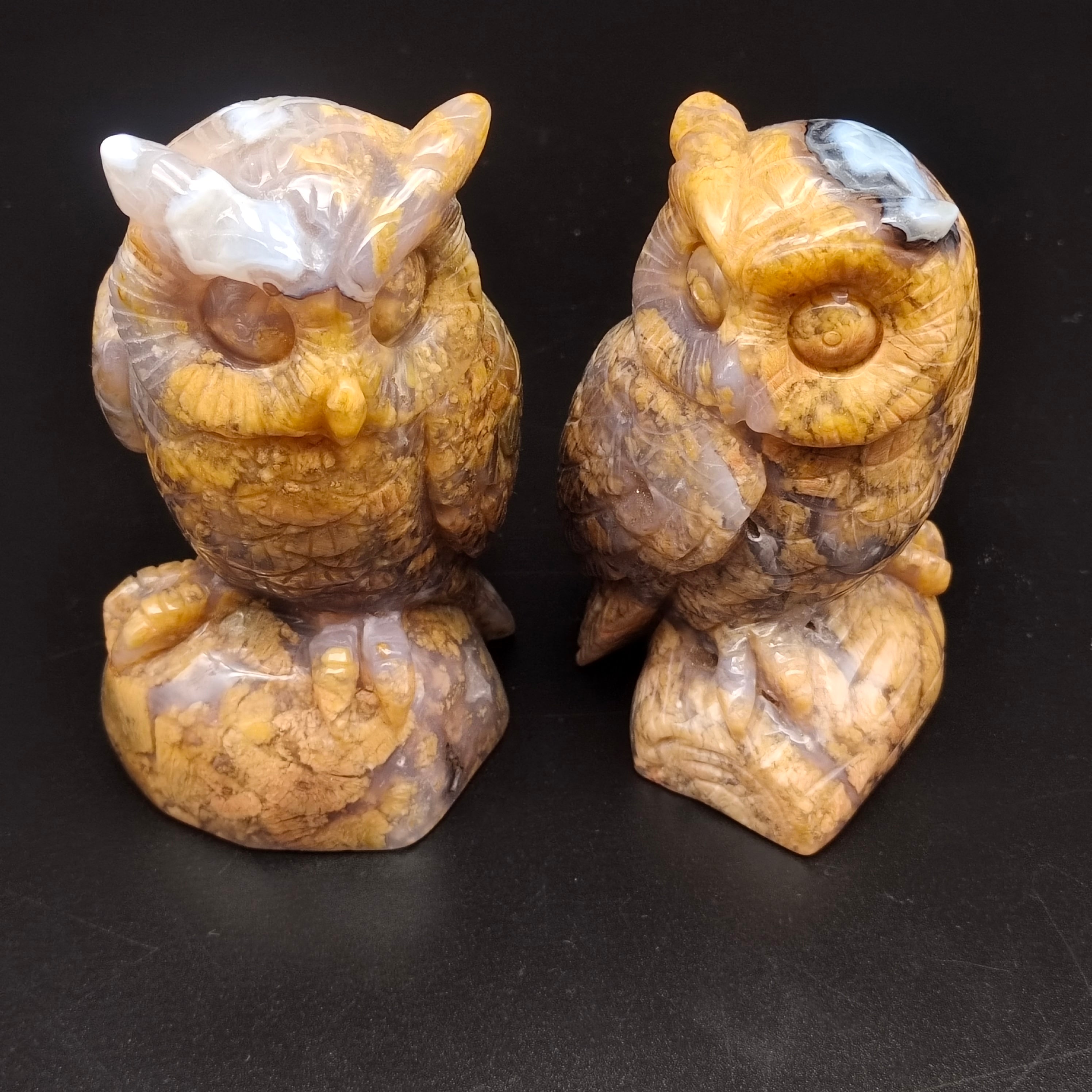 Yellow agate owl