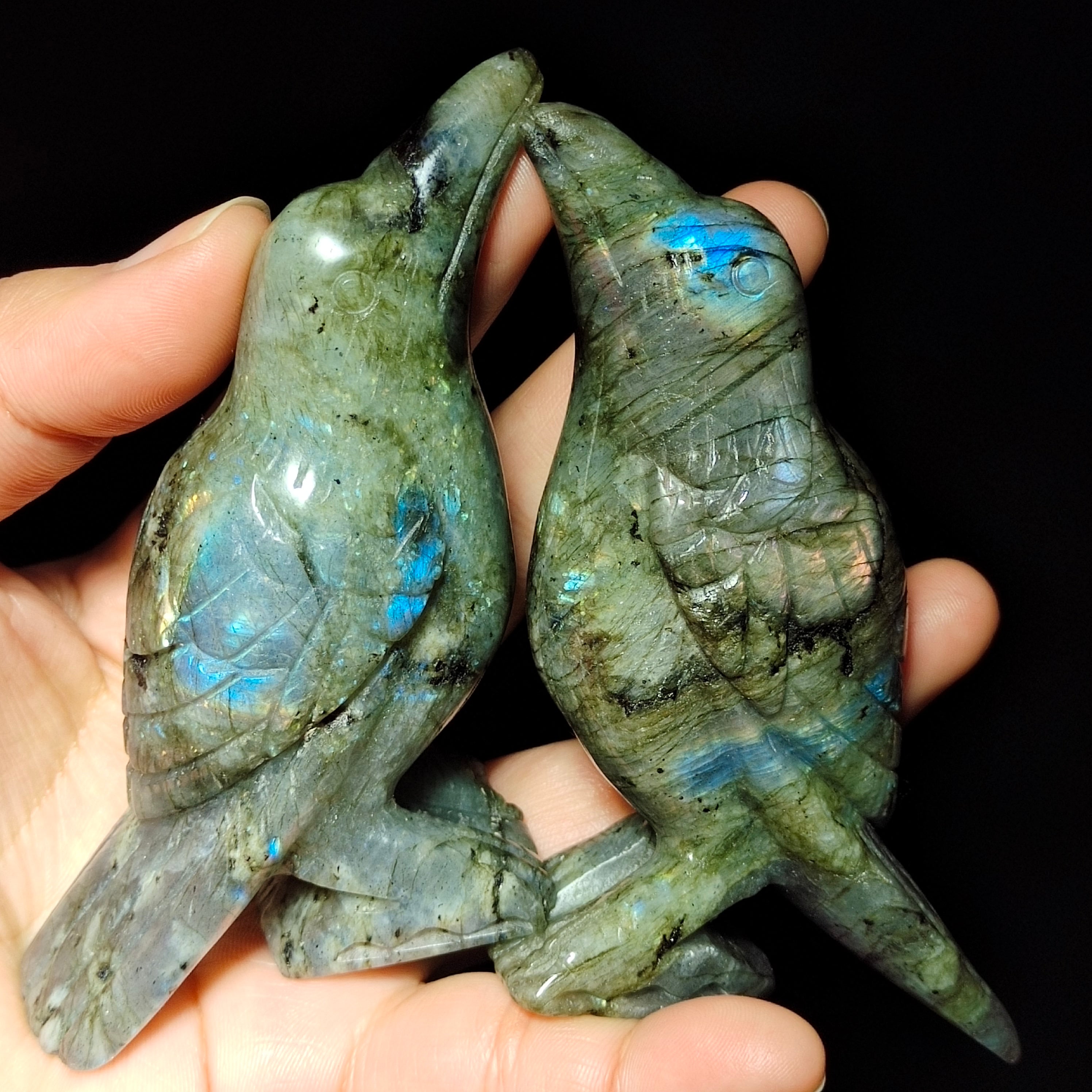 Labradorite bird