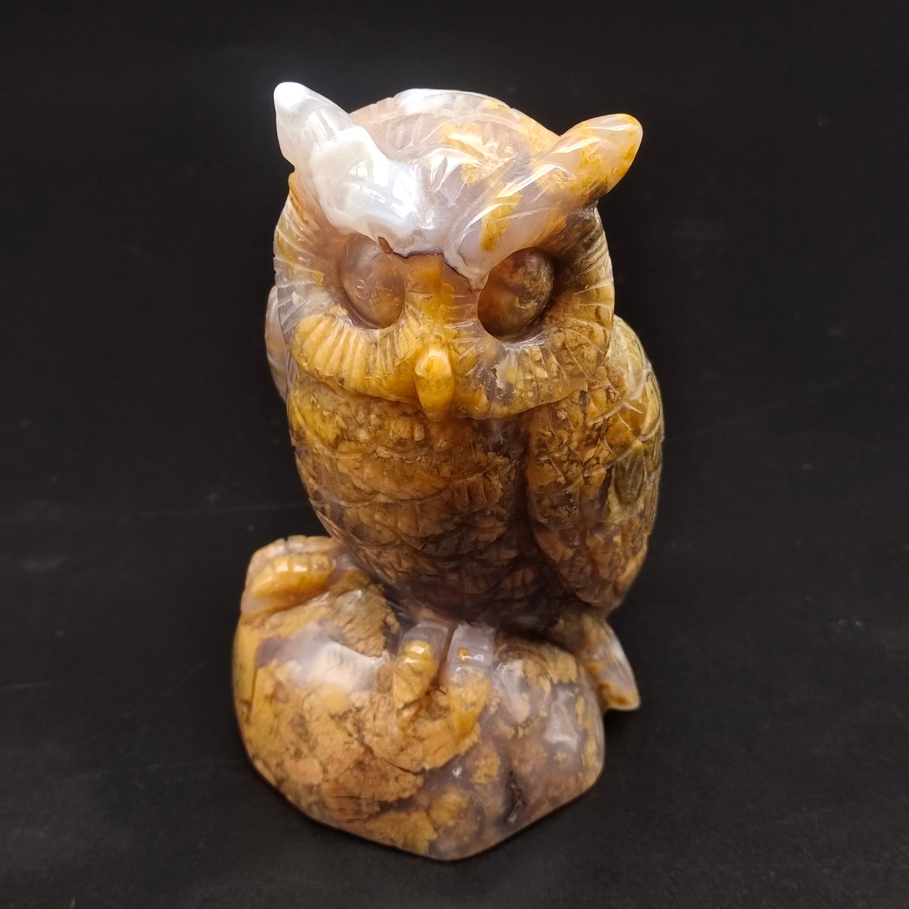 Yellow agate owl