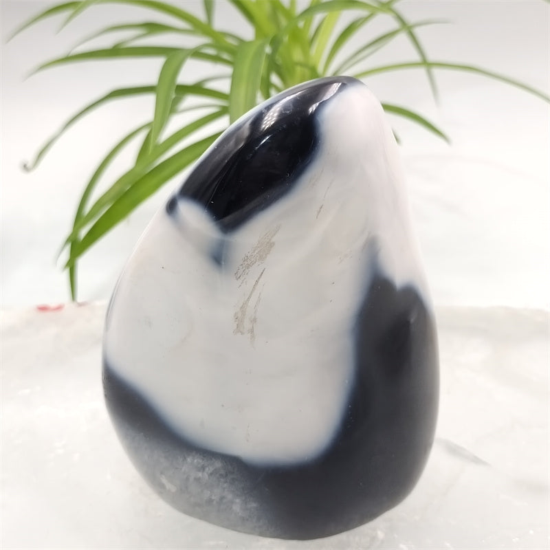 Orca agate free form