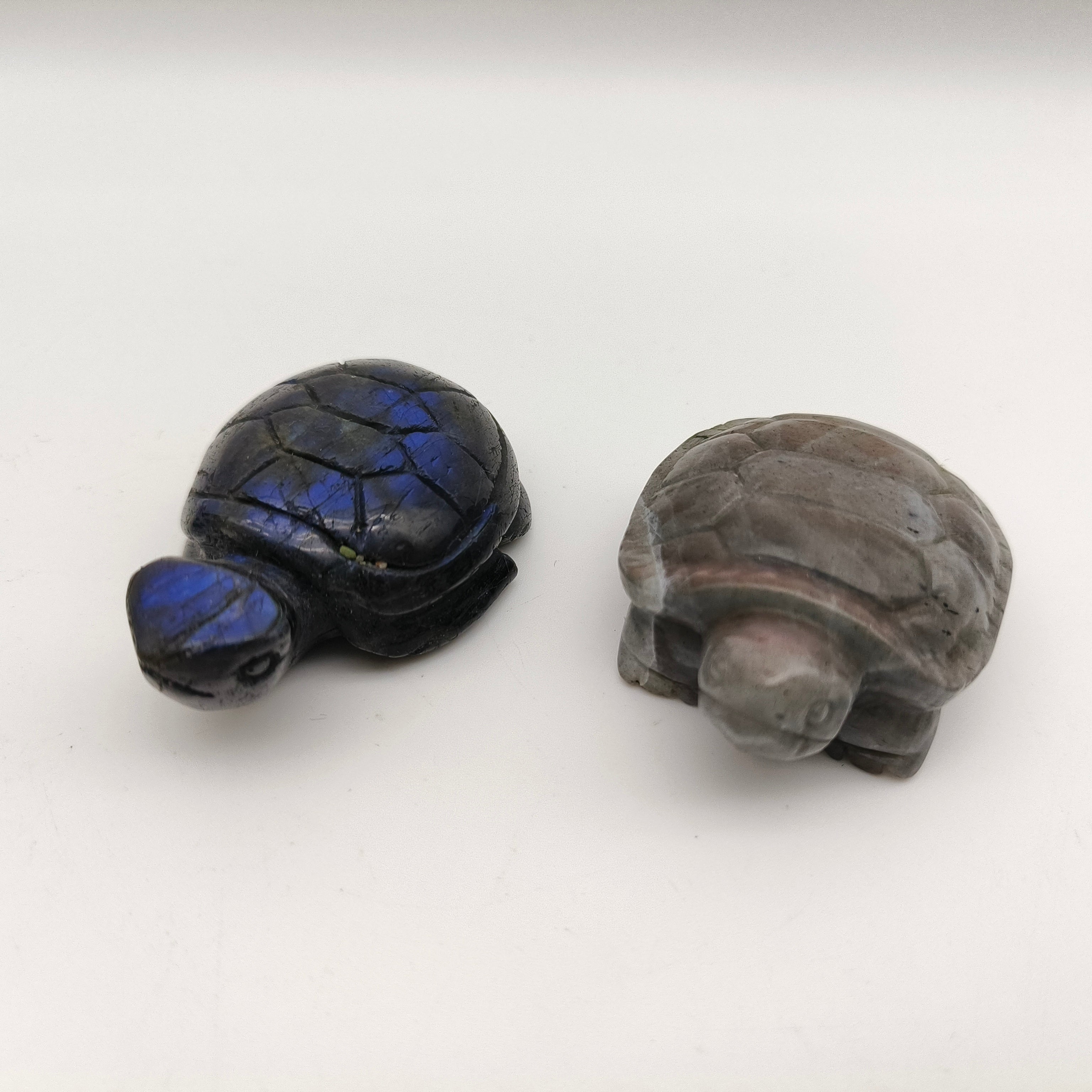 Various materials turtle