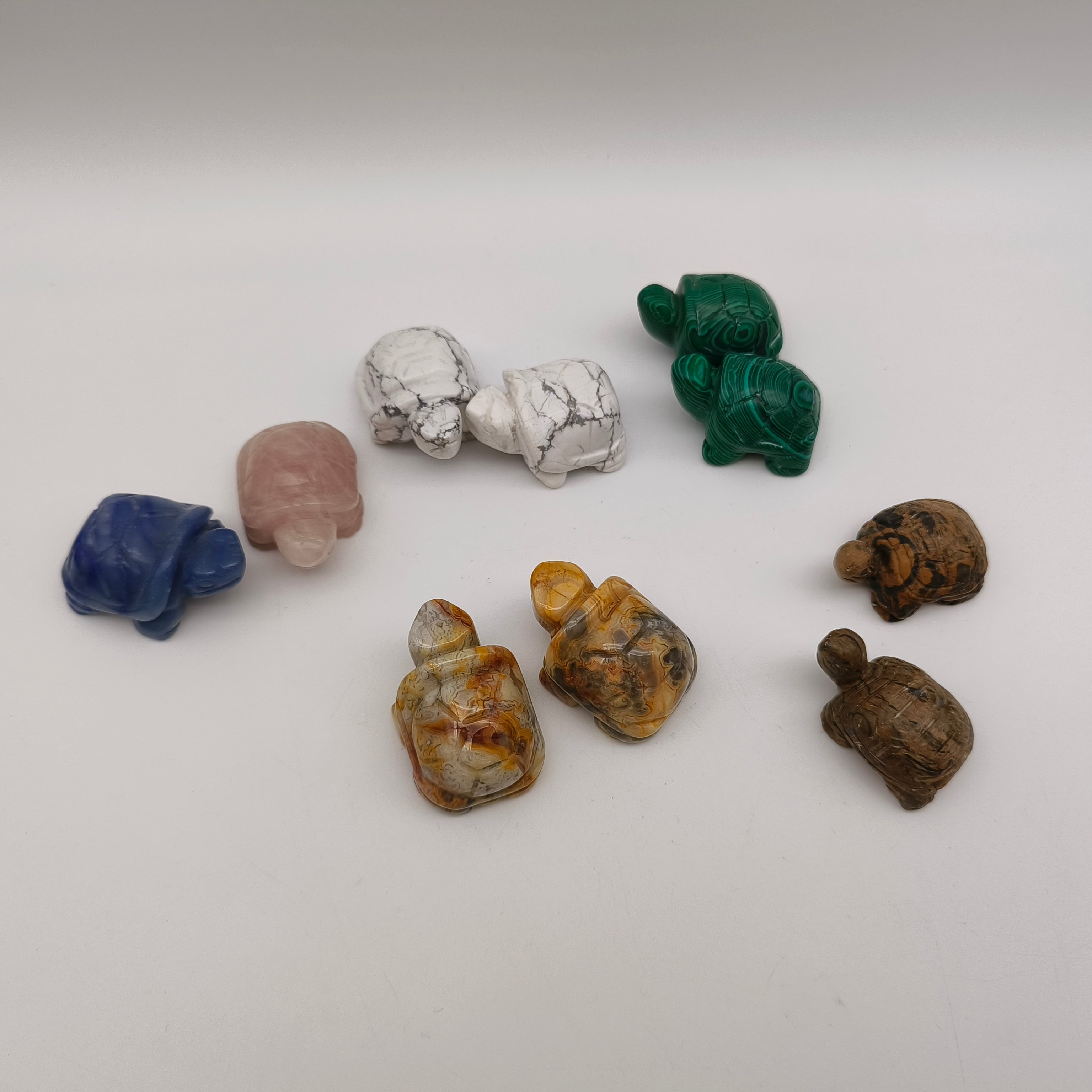 Various materials mini turtles