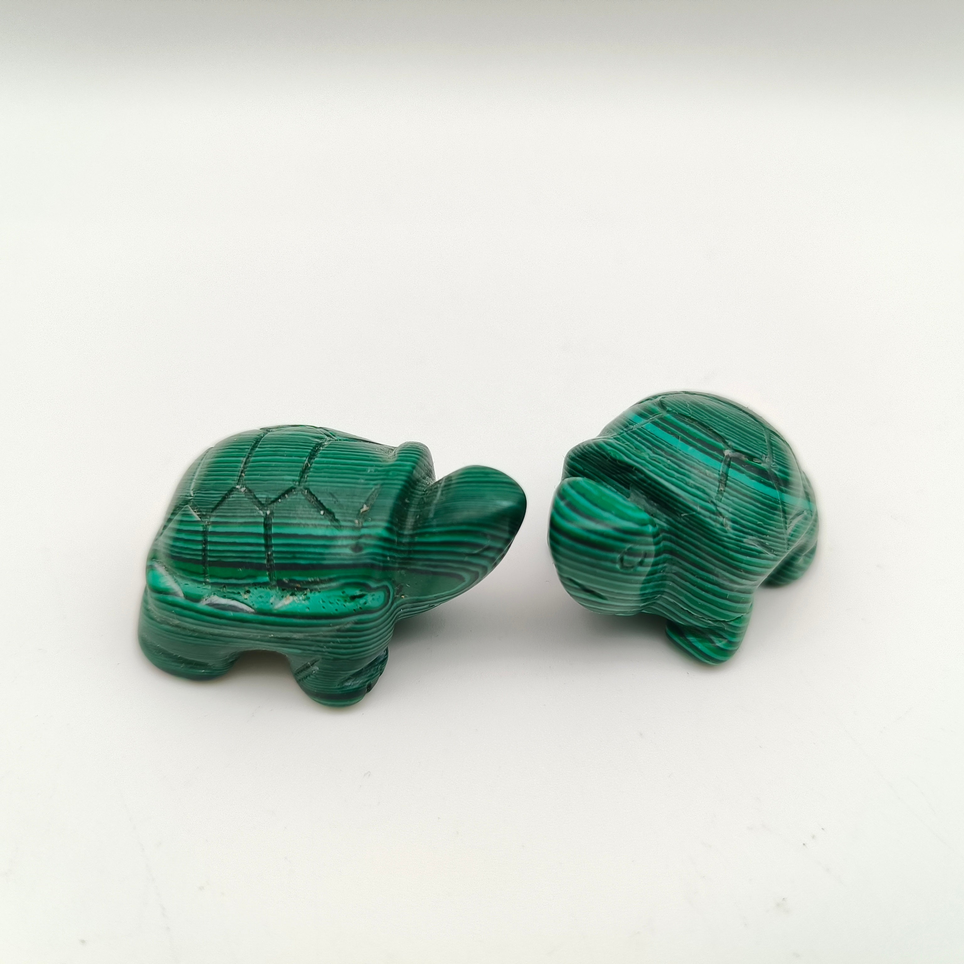 Various materials mini turtles