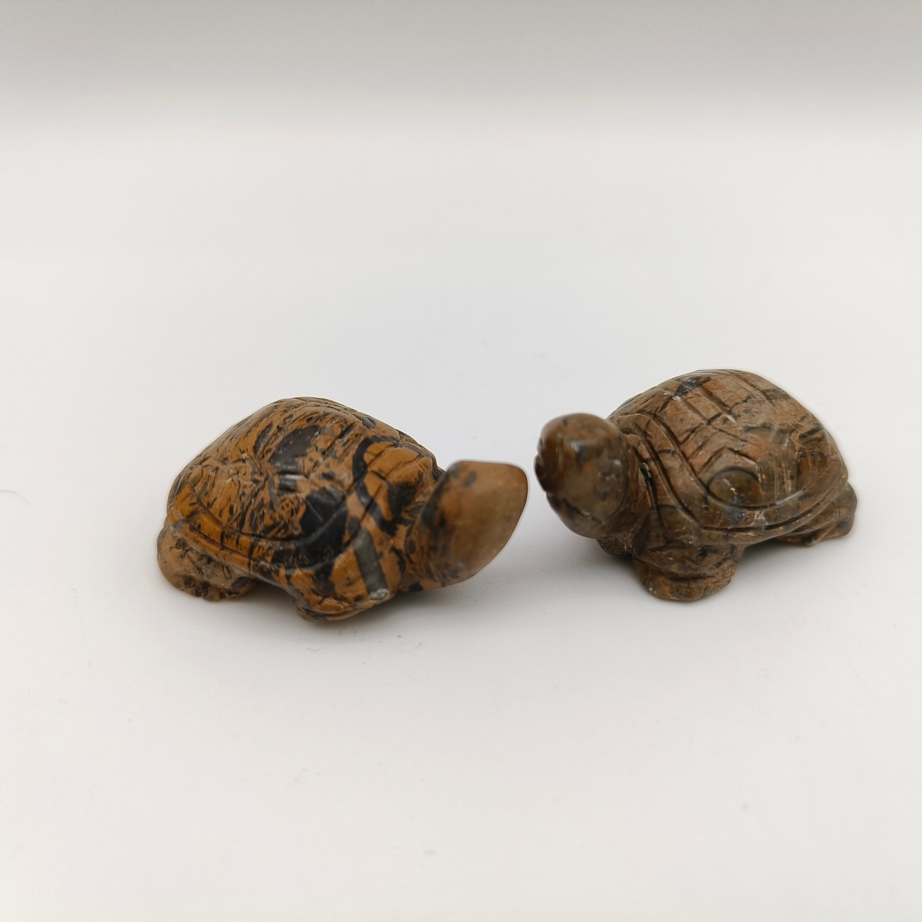 Various materials mini turtles