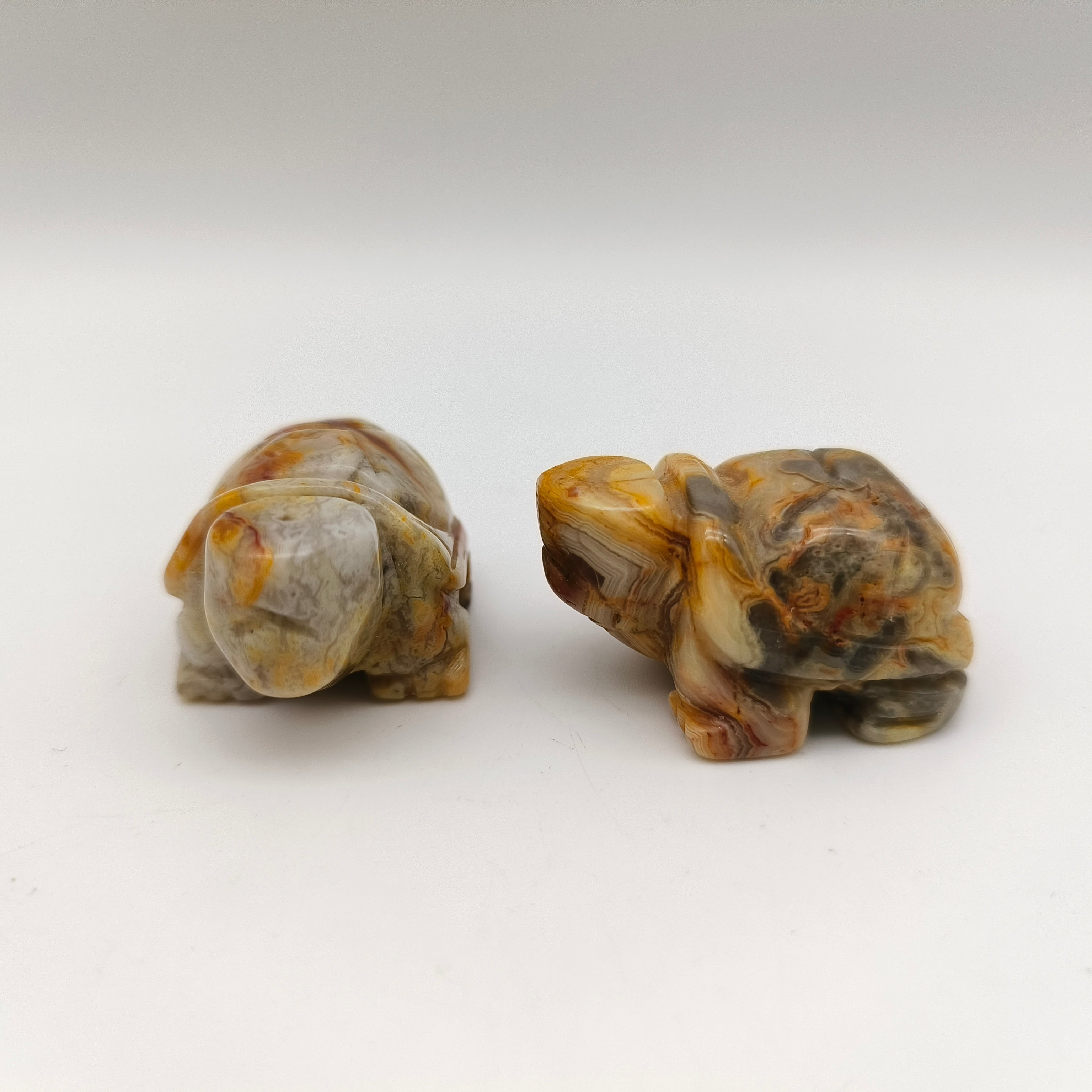 Various materials mini turtles