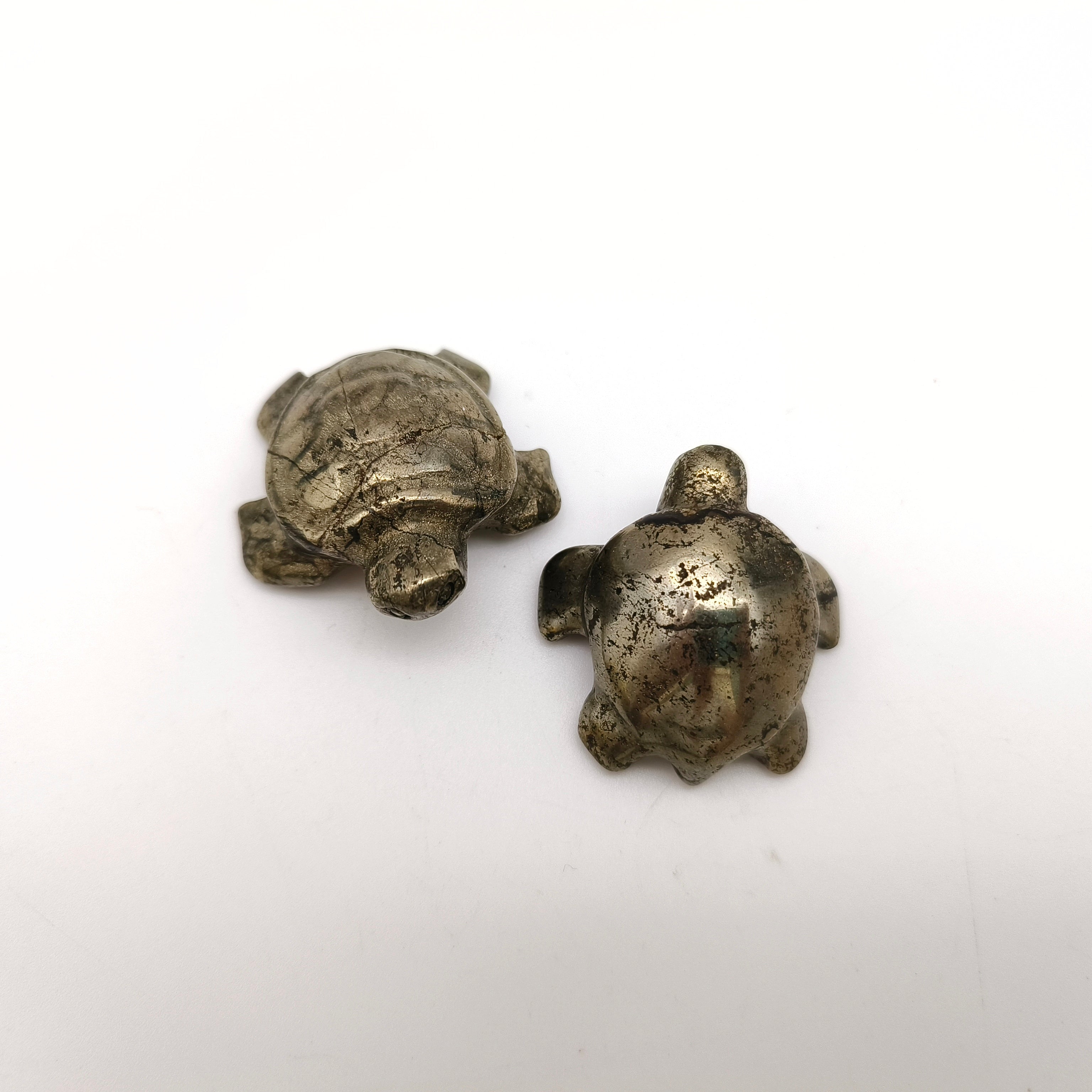 Pyrite turtle