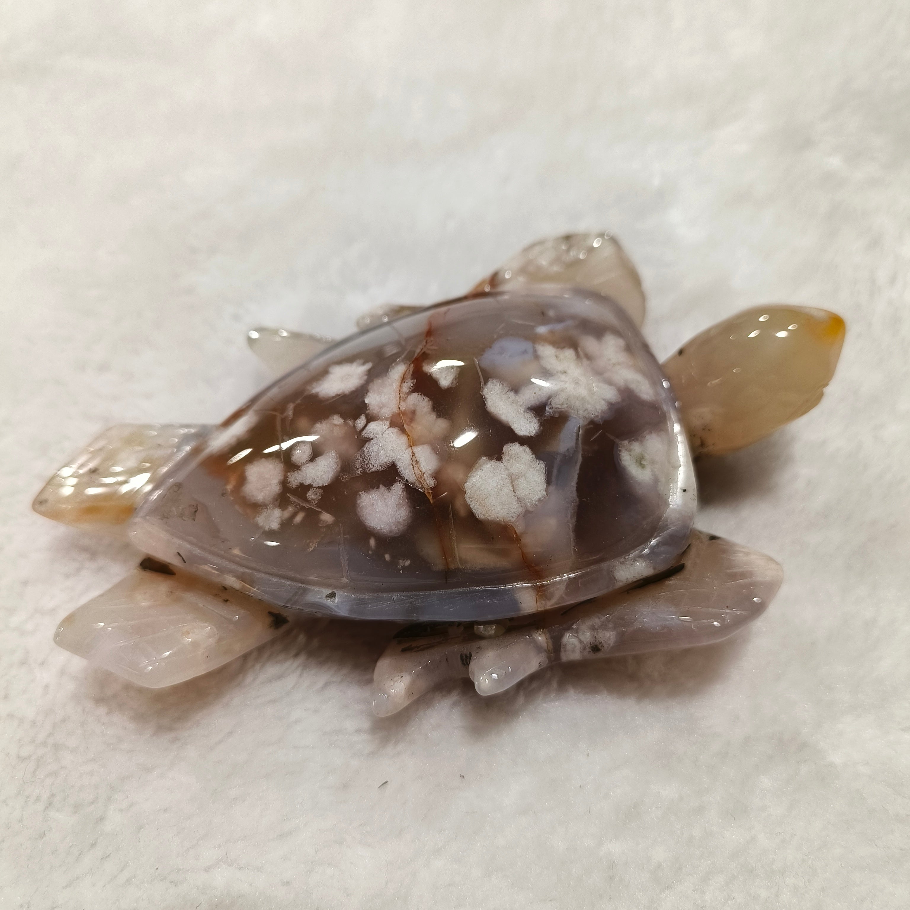 Ocean Jasper ,Flower Agate Turtle