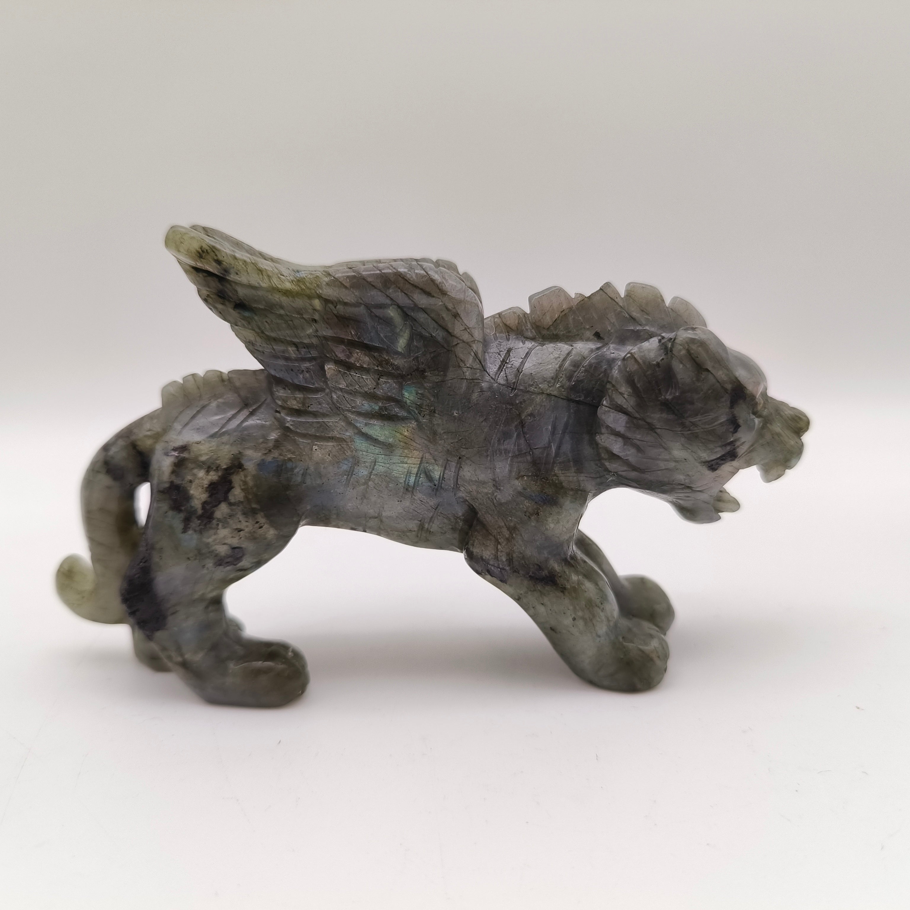 Labradorite flying tiger