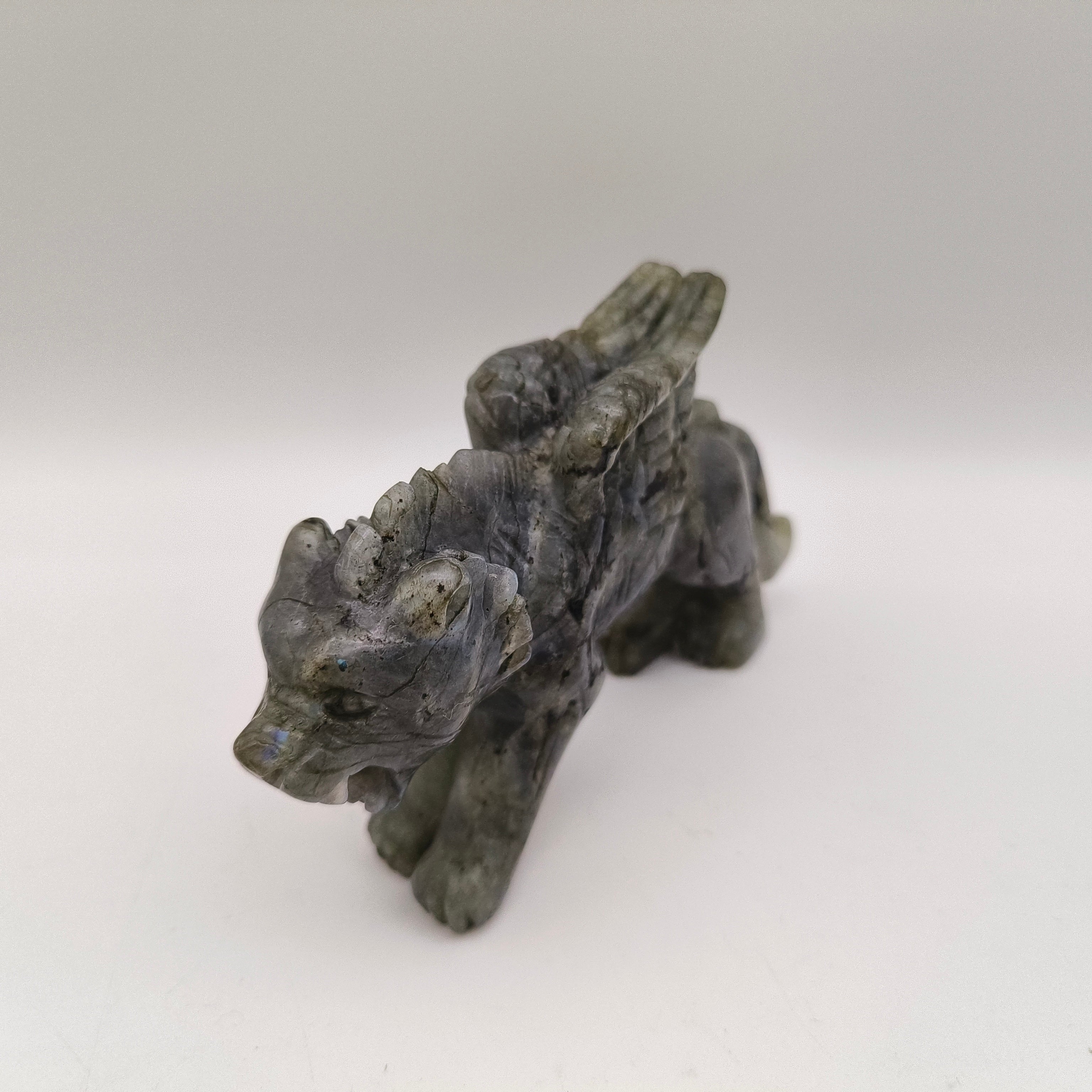 Labradorite flying tiger