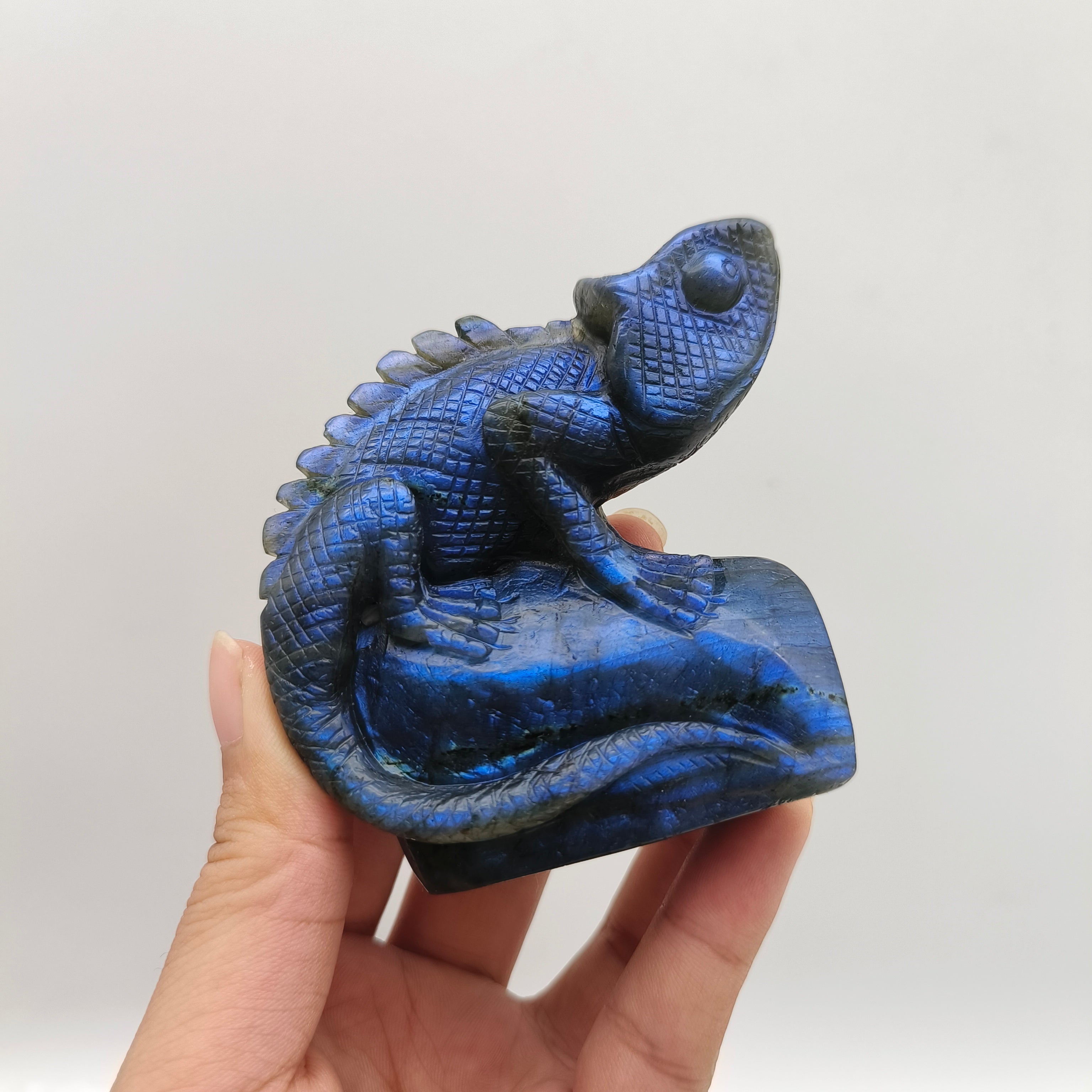 Labradorite  Lizard