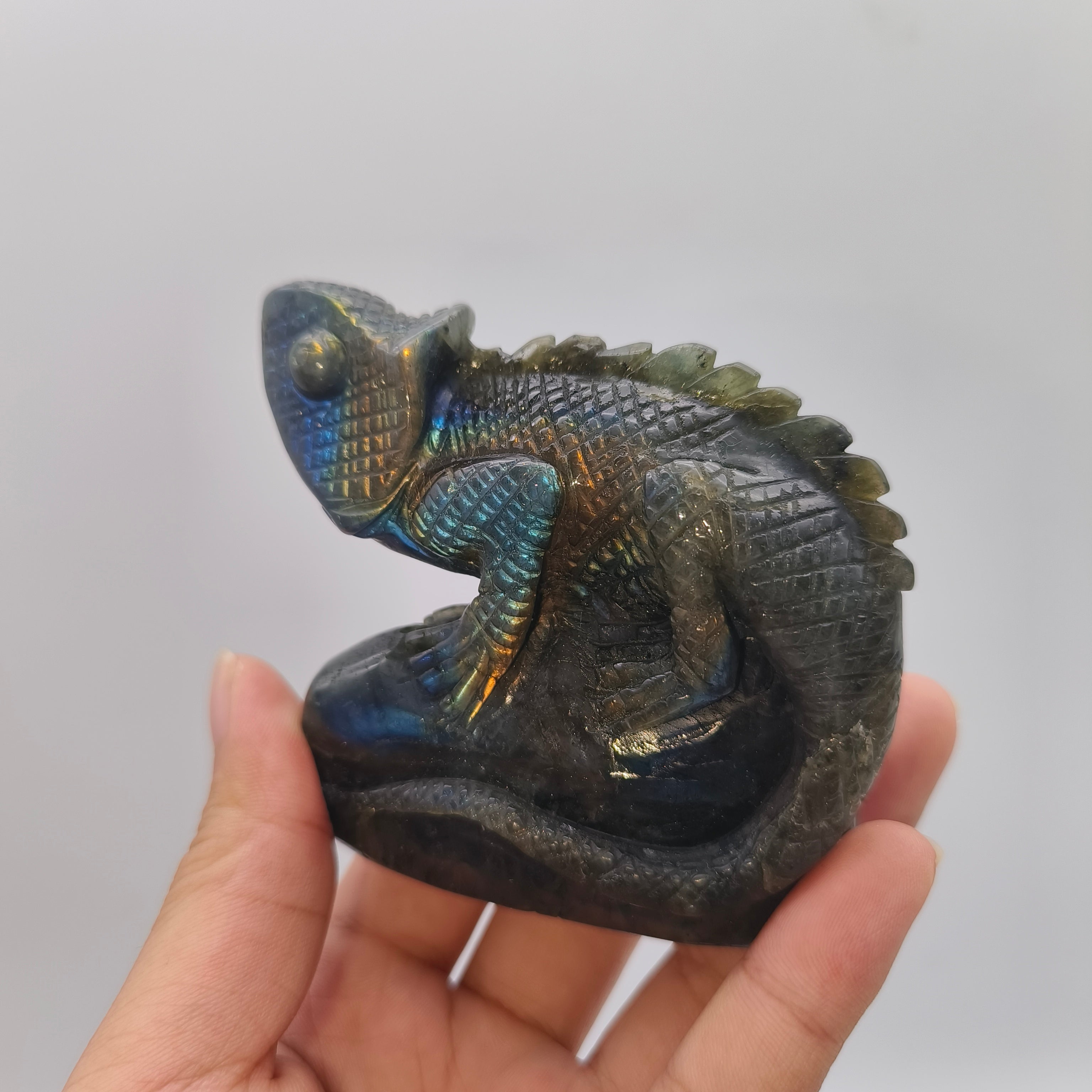 Labradorite  Lizard