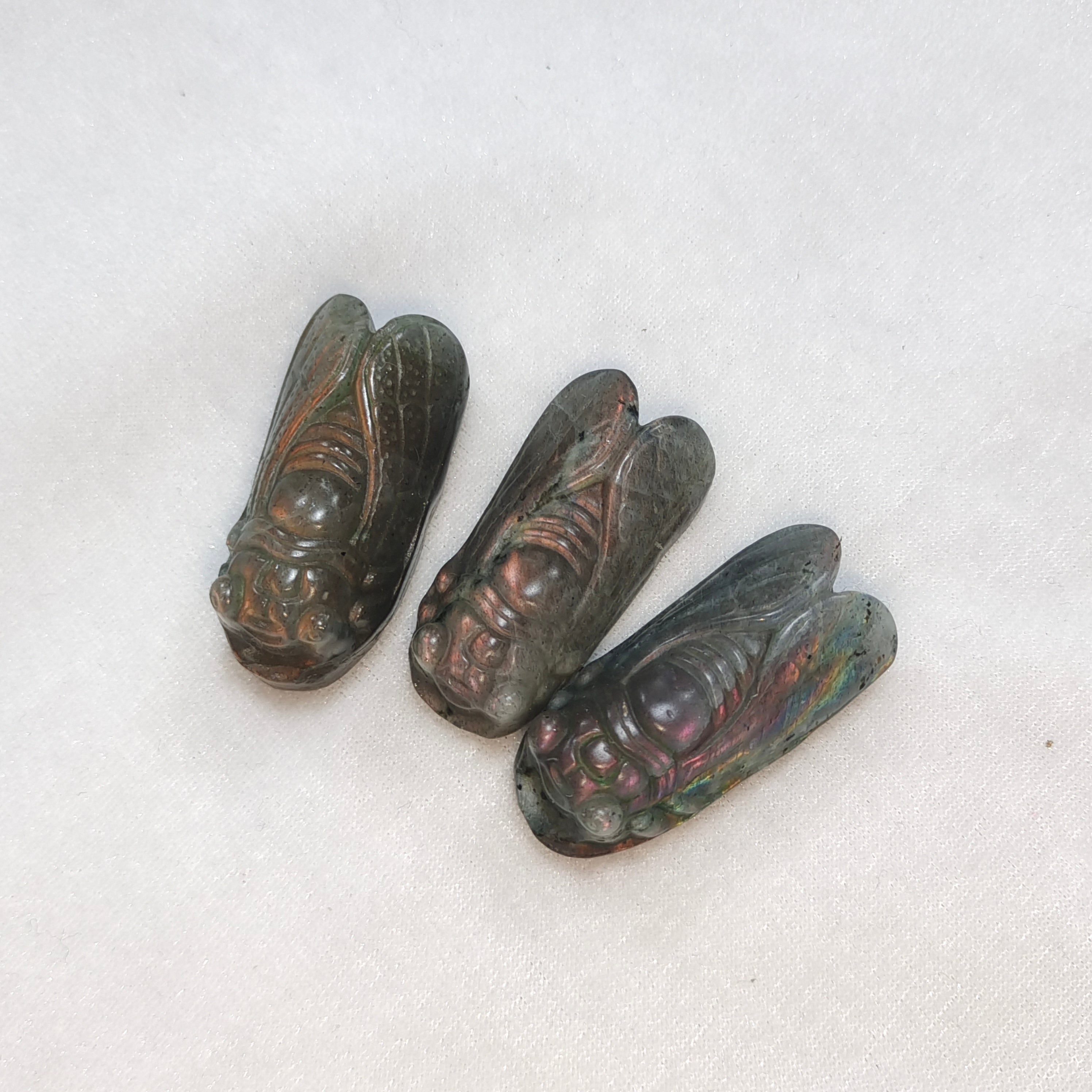 Labradorite cicada