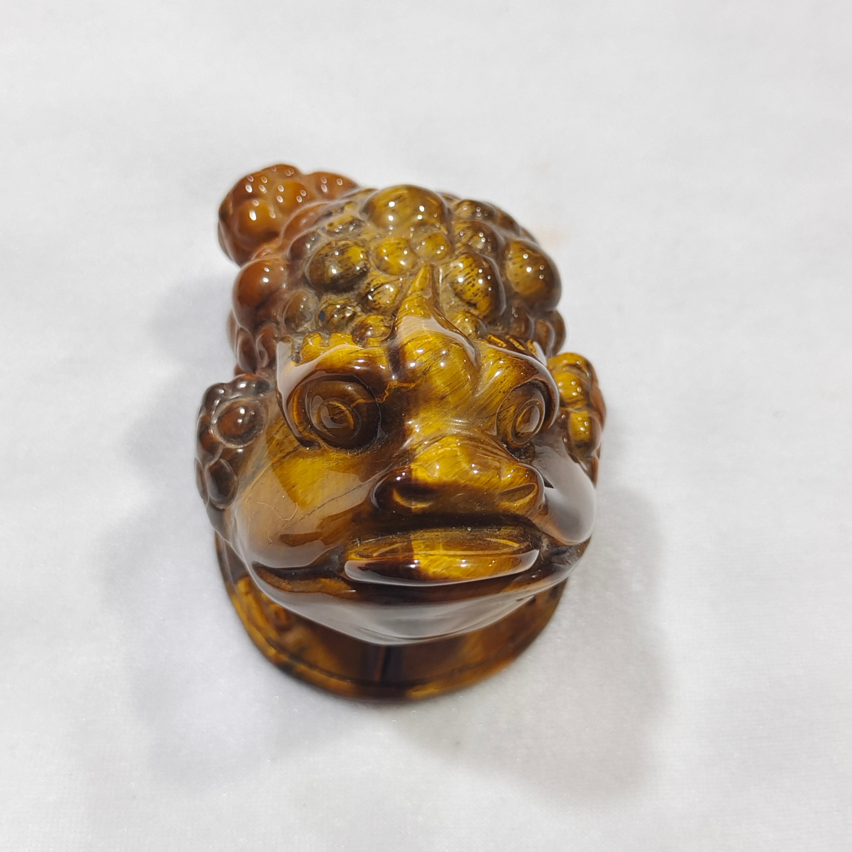 Yellow Tiger Eye Golden Toad