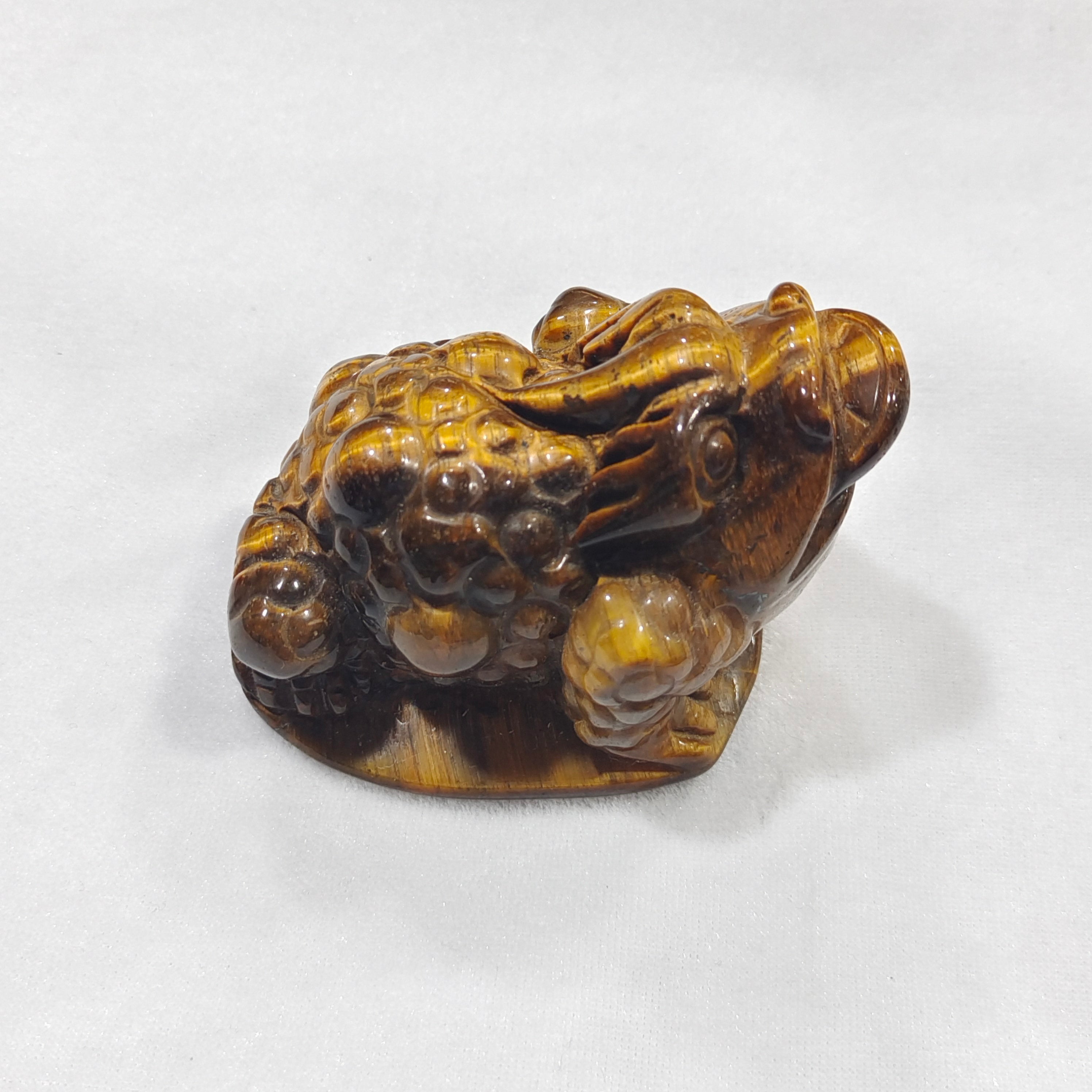 Yellow Tiger Eye Golden Toad