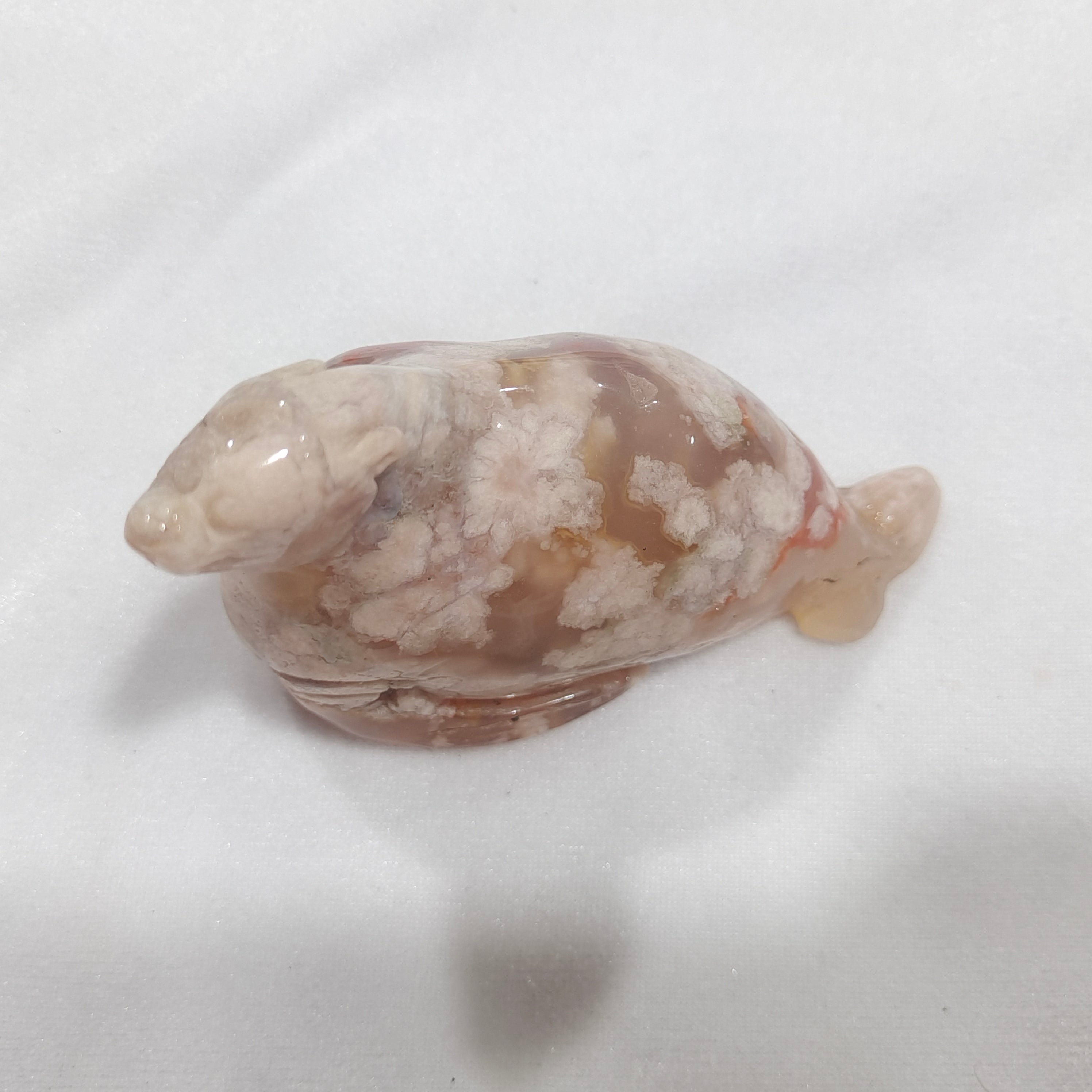 Flower agate sea lion