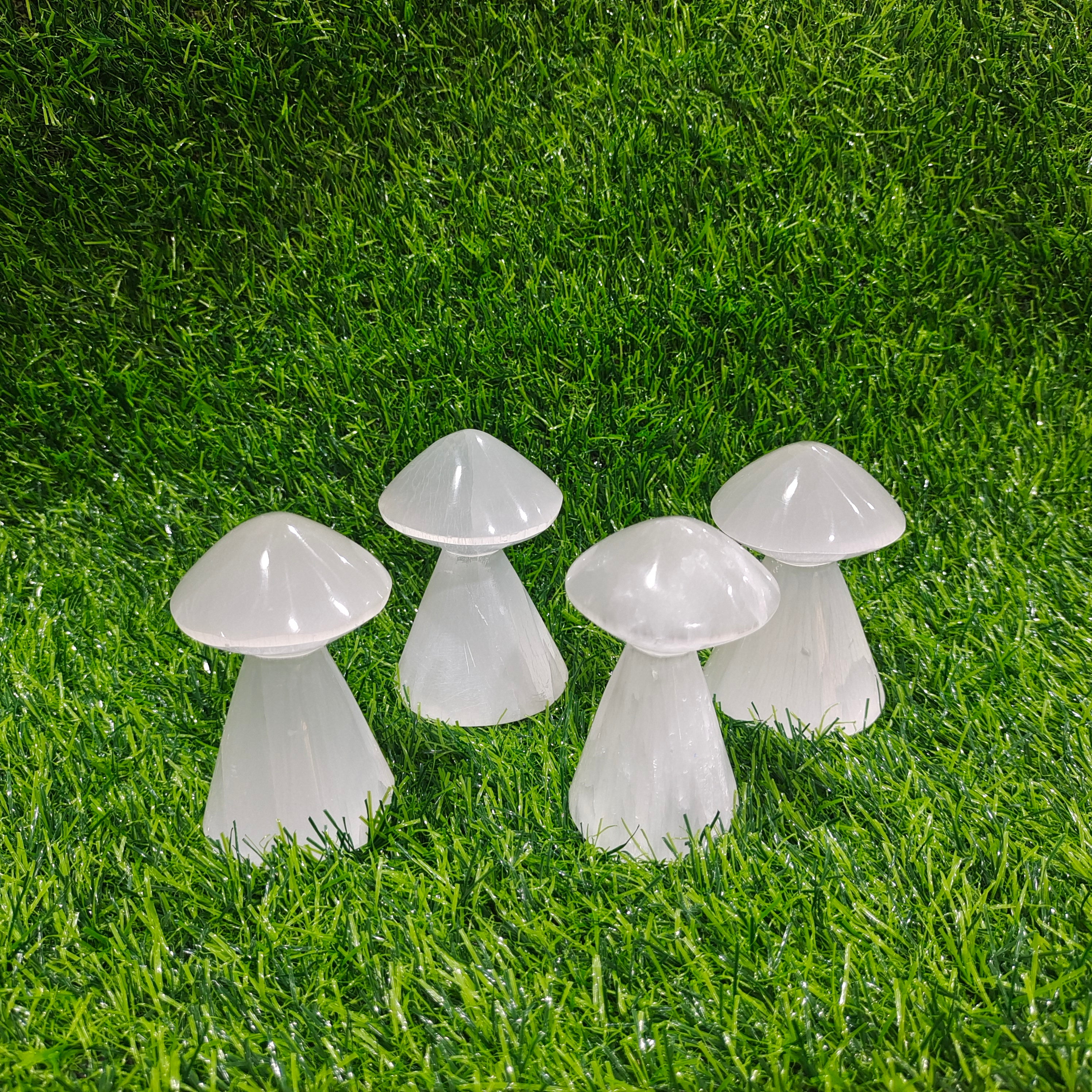 Selenite mushrooms