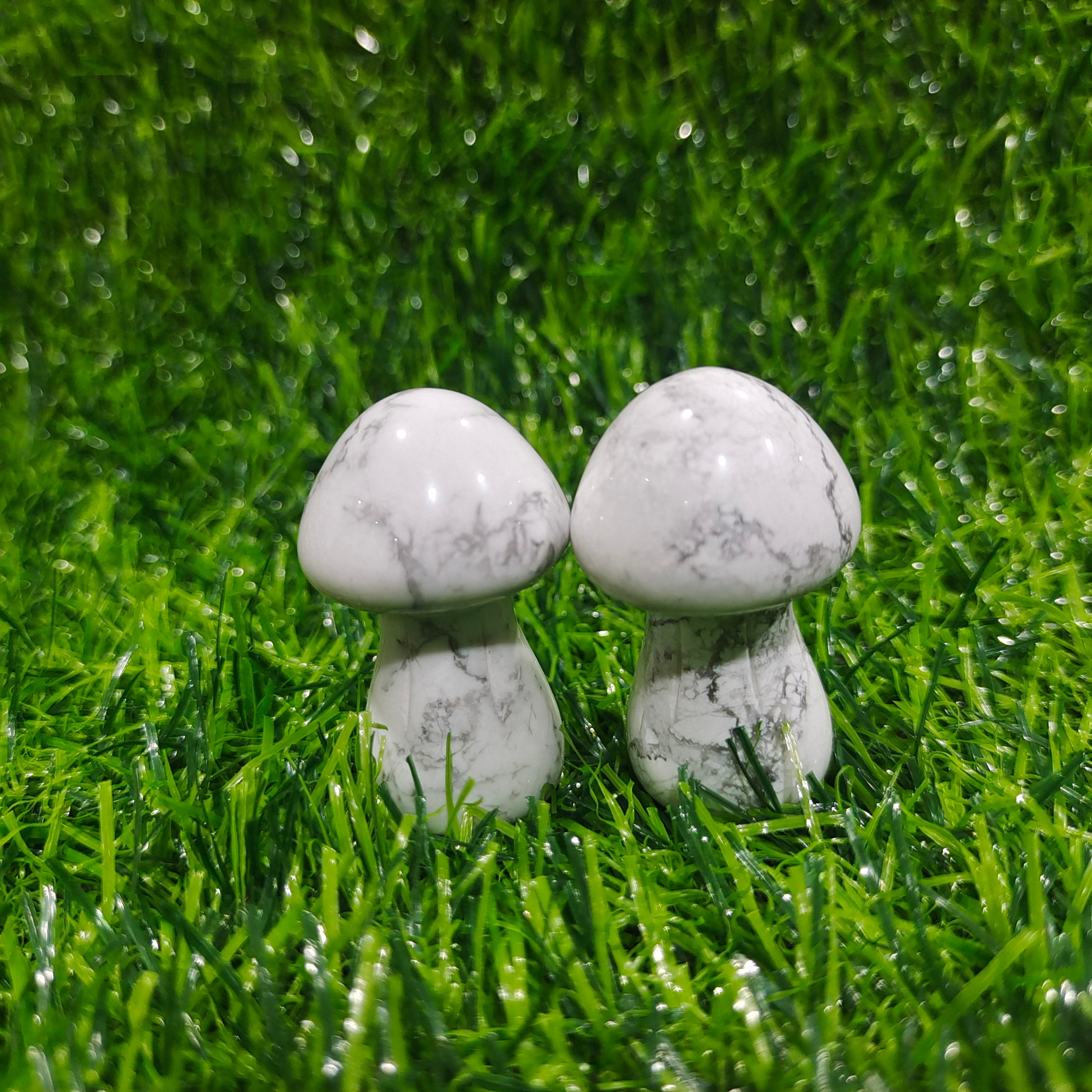 Various material mushrooms