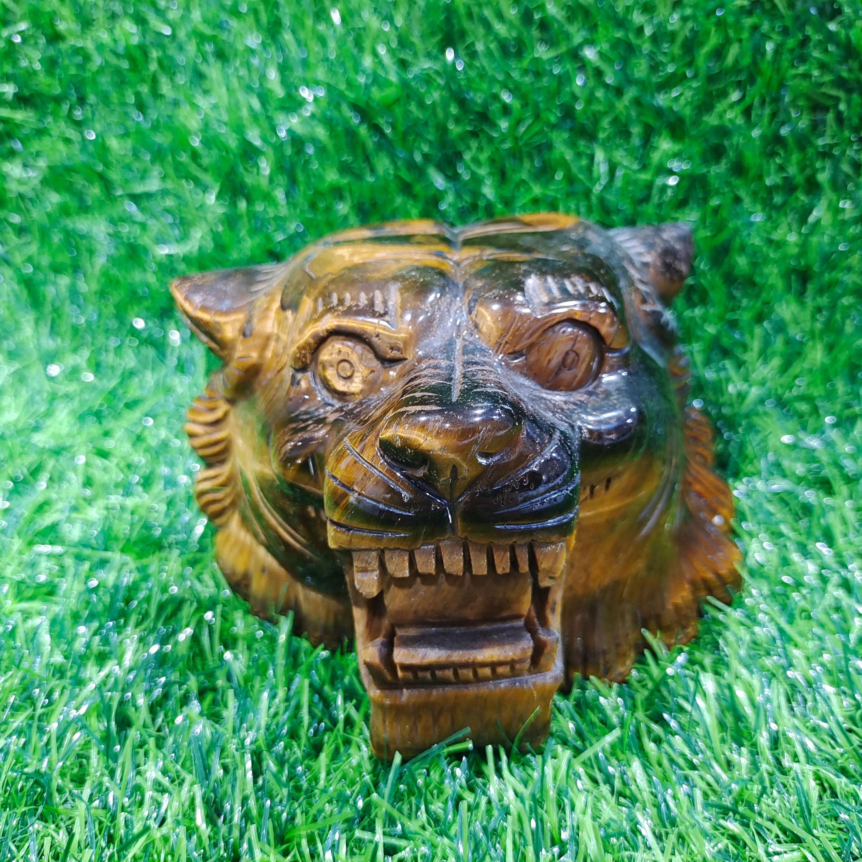 Yellow Tiger Eye Tiger Head