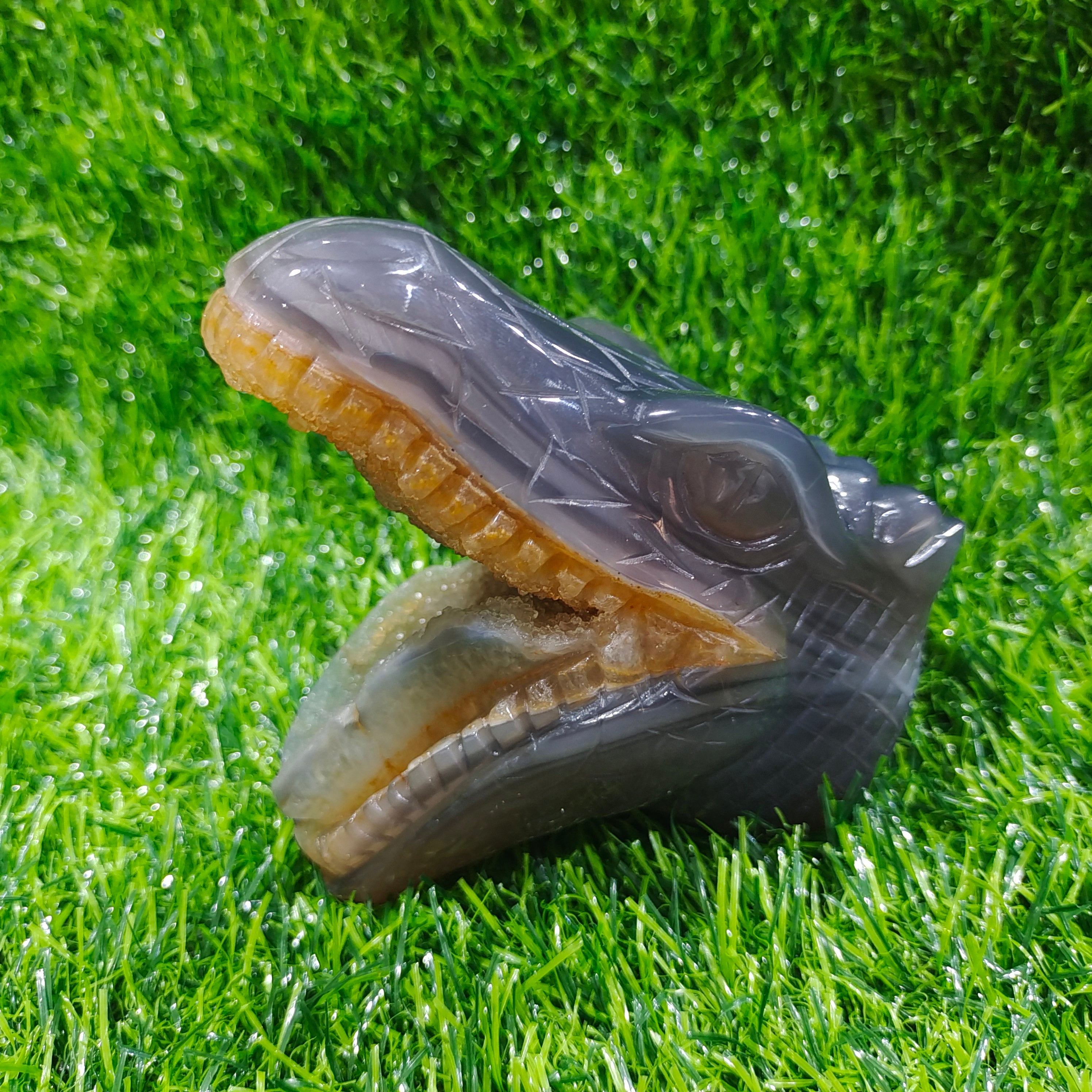 Agate Geode Crocodile Head