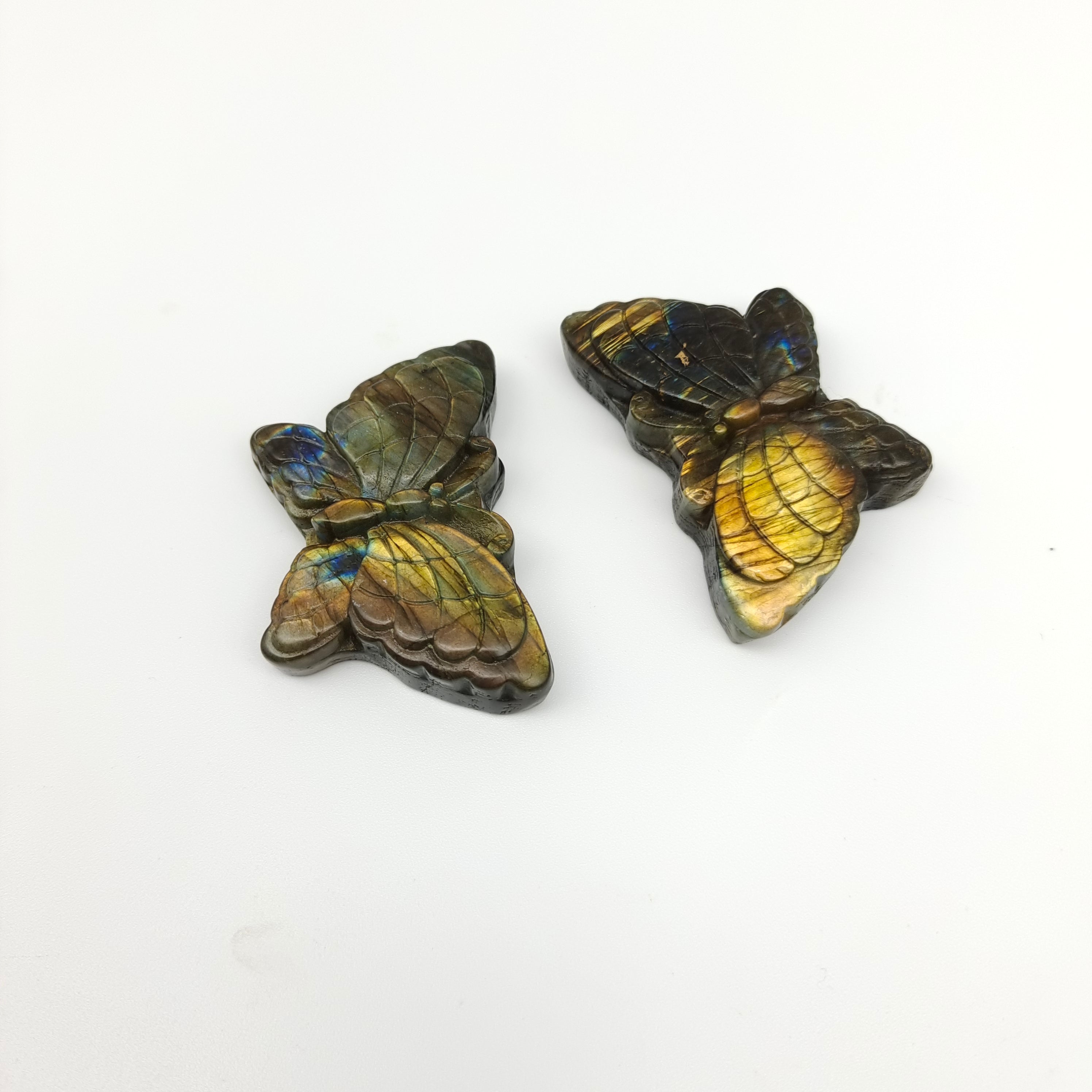 Butterflies of various materials