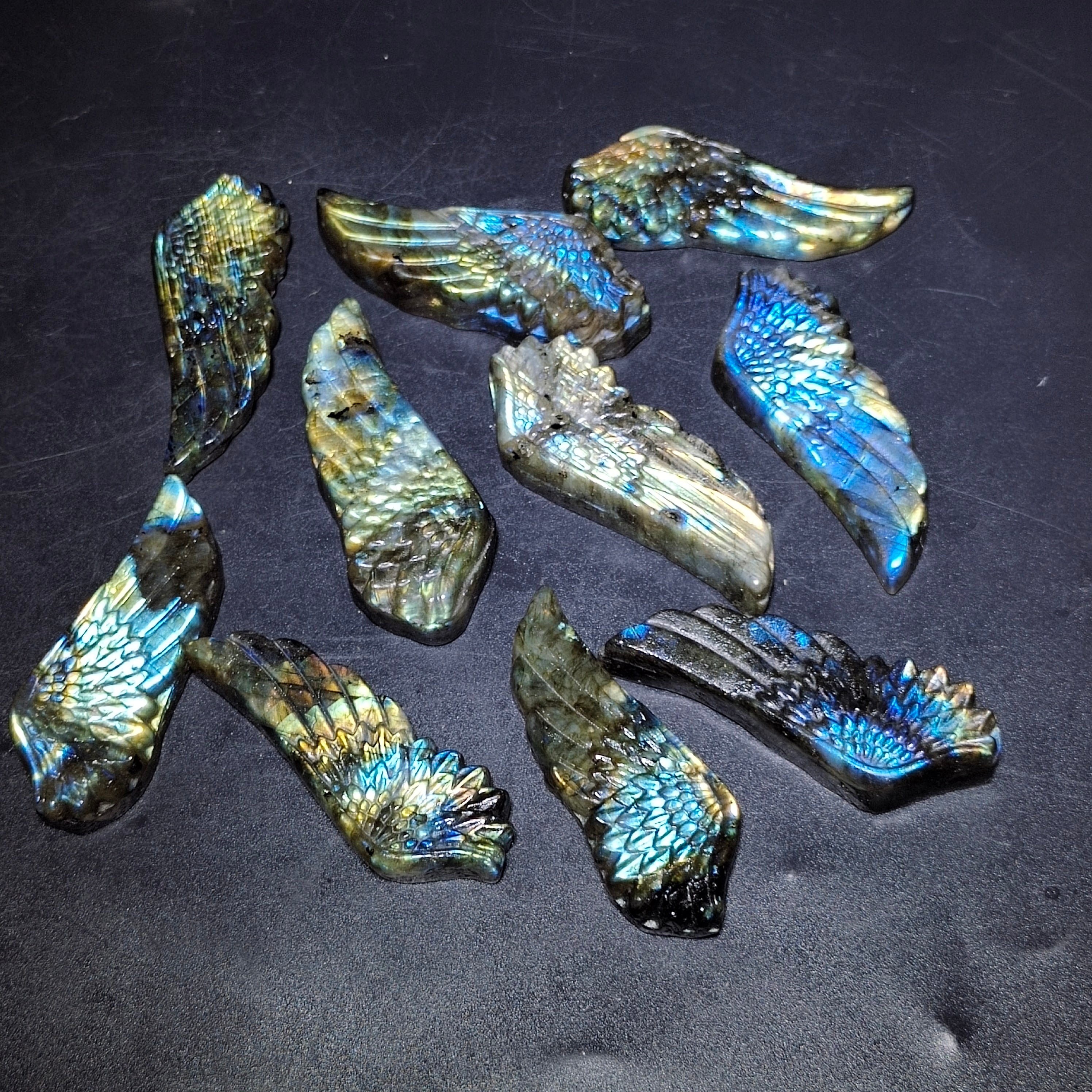 Labradorite wing