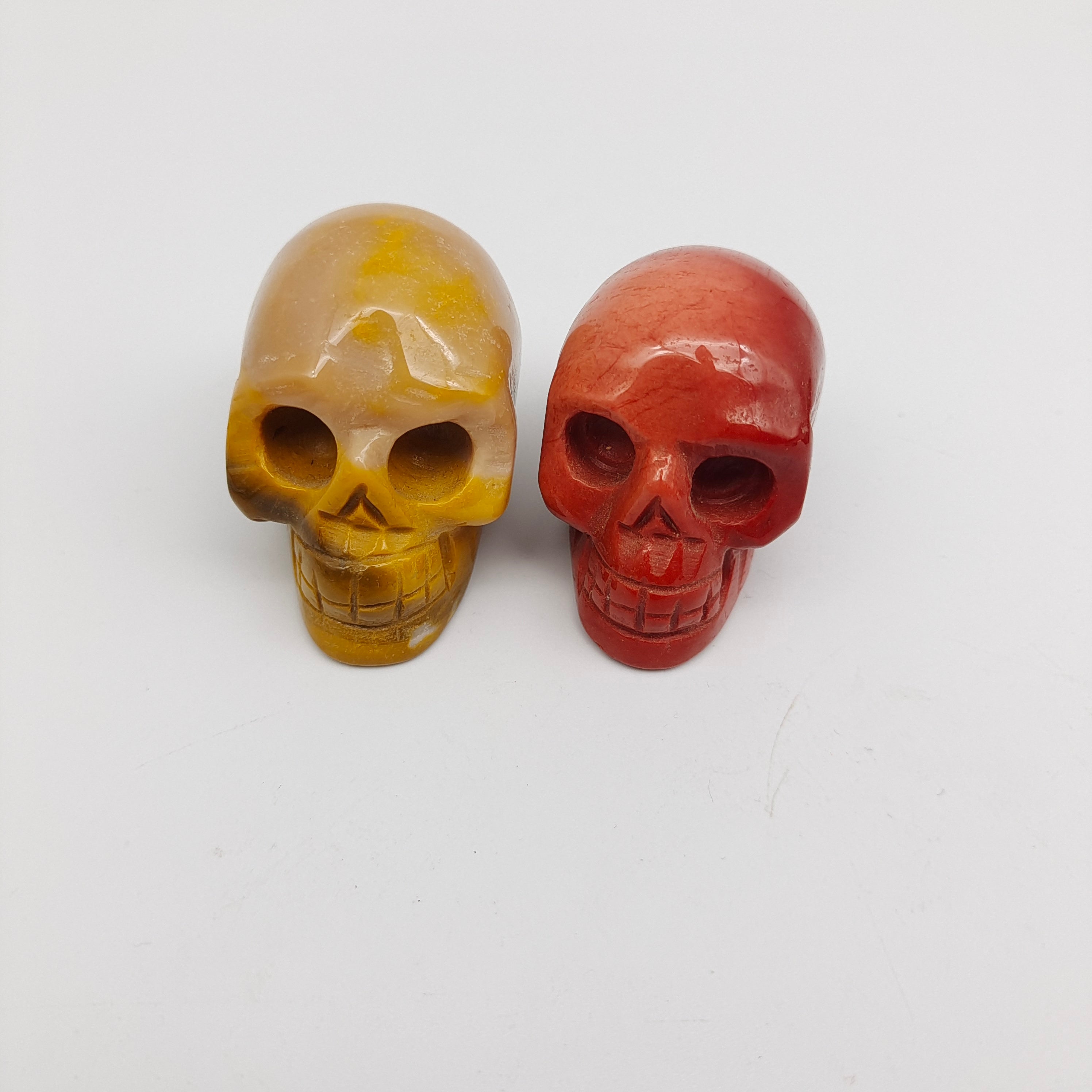 Skulls of various materials