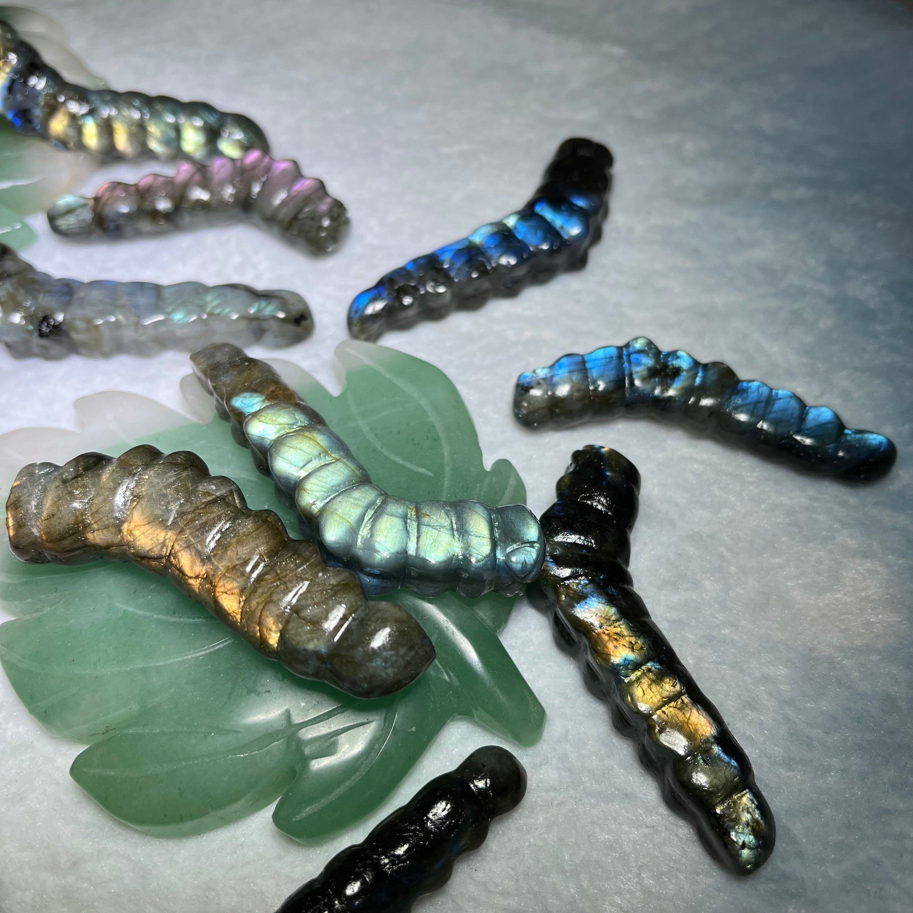 Labradorite caterpillar