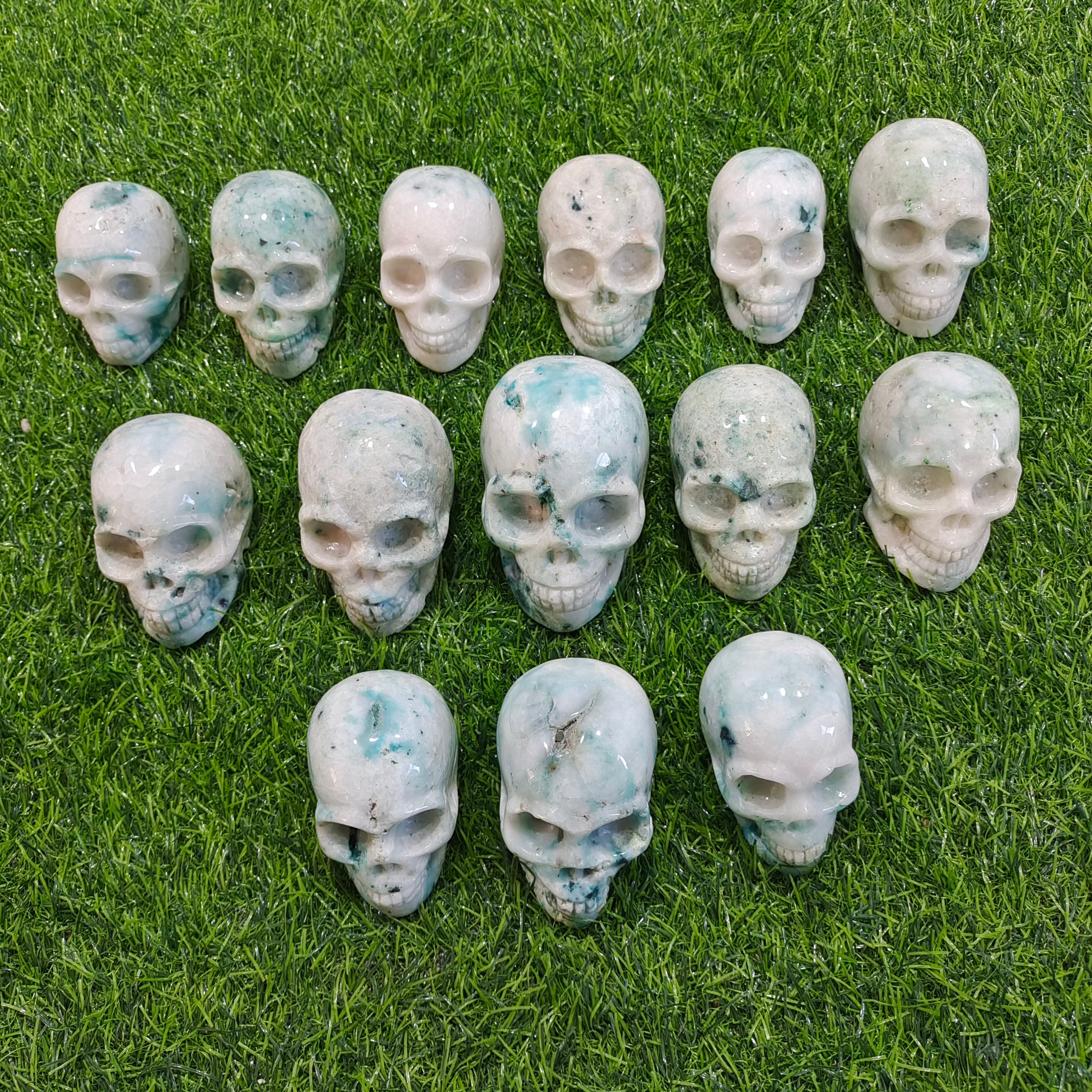 Skulls of various materials