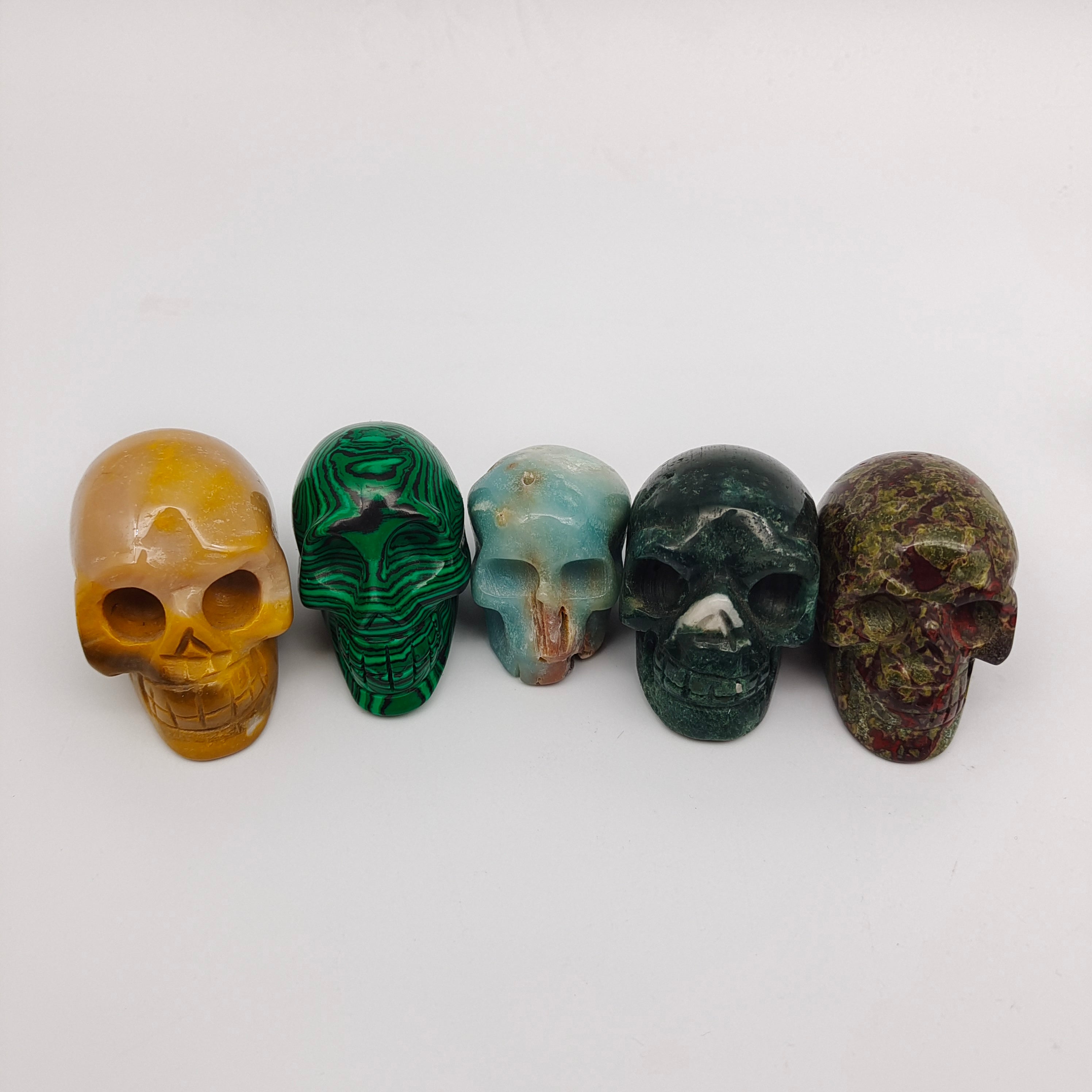 Skulls of various materials