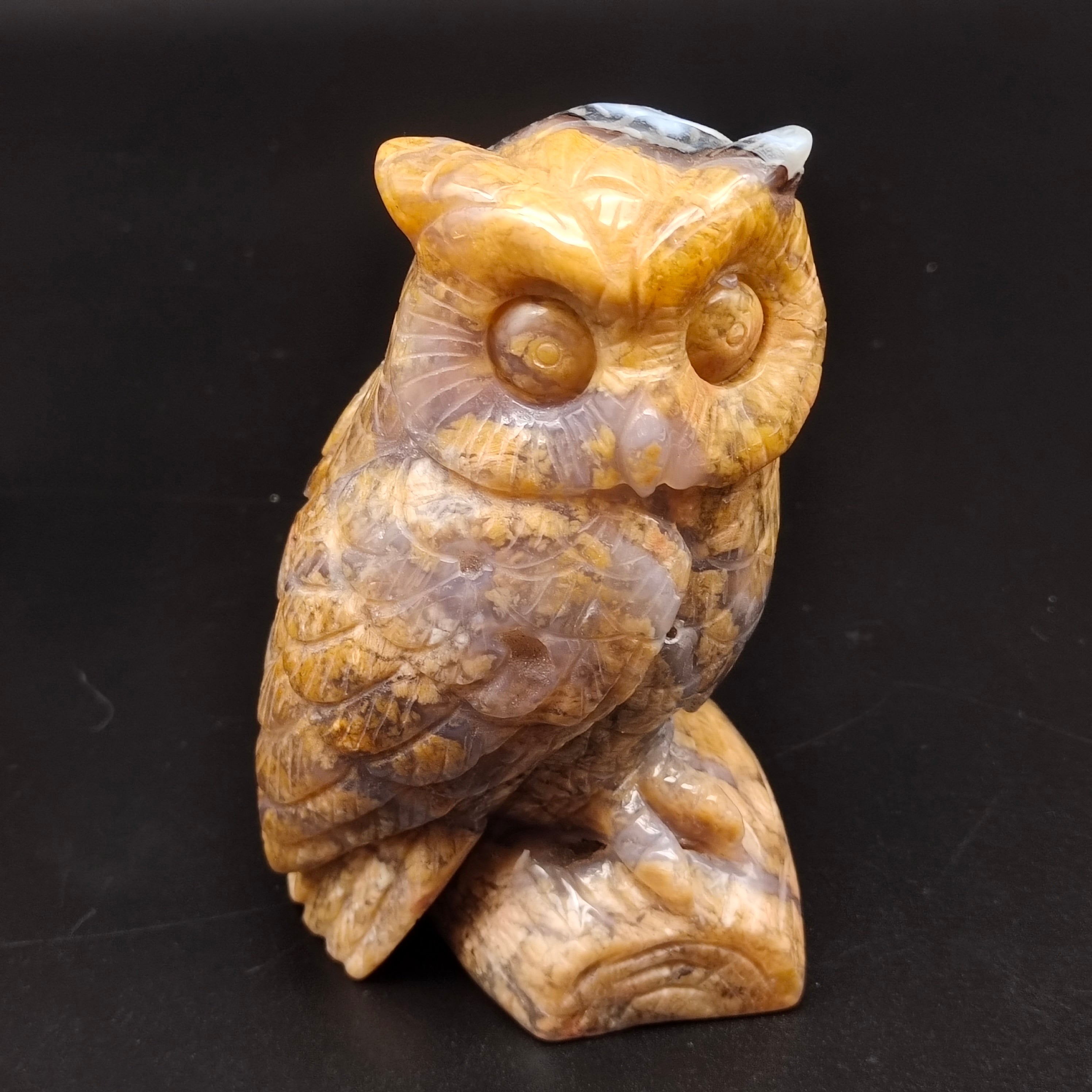 Yellow agate owl