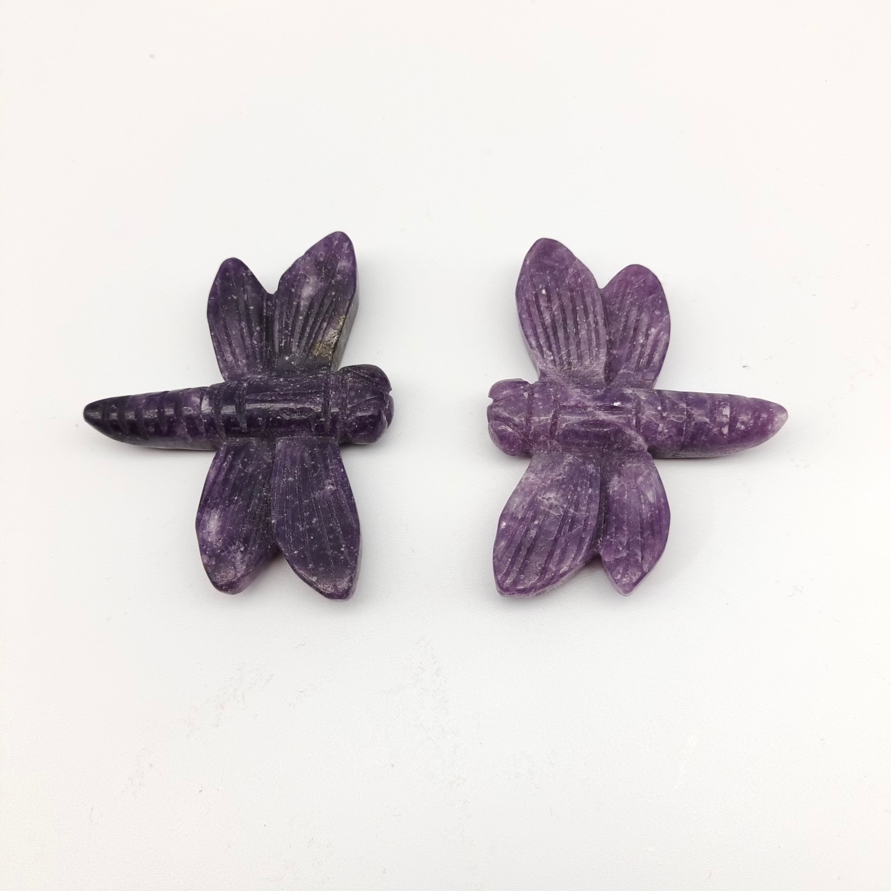 Dragonflies of various materials