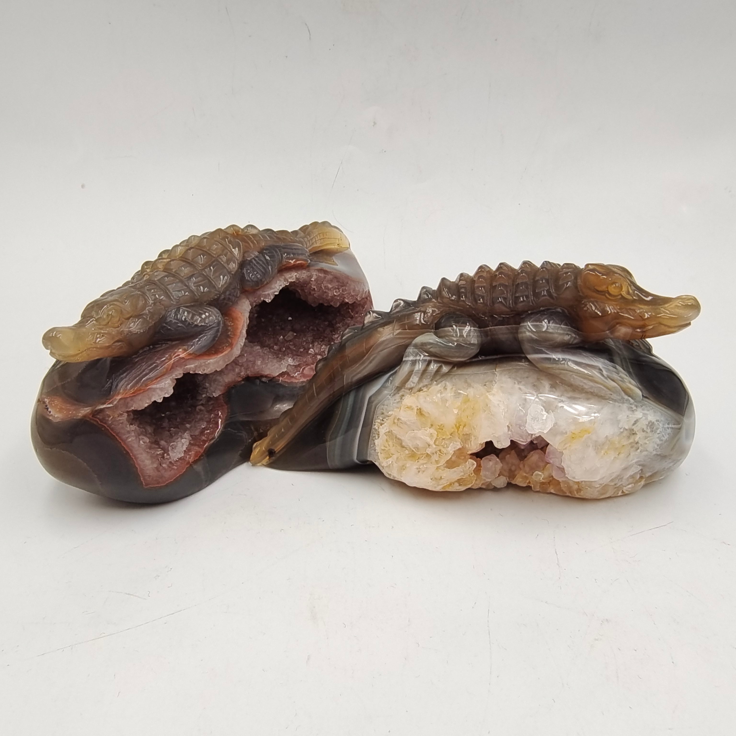 Agate Geode Crocodile