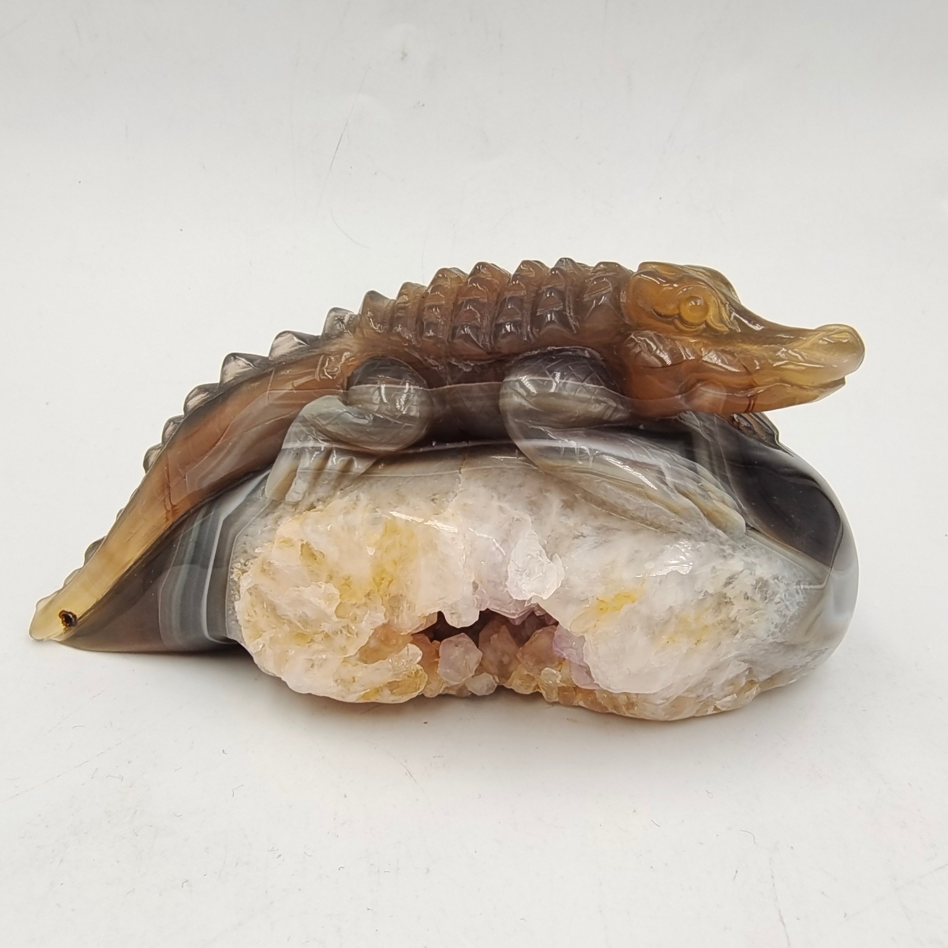 Agate Geode Crocodile