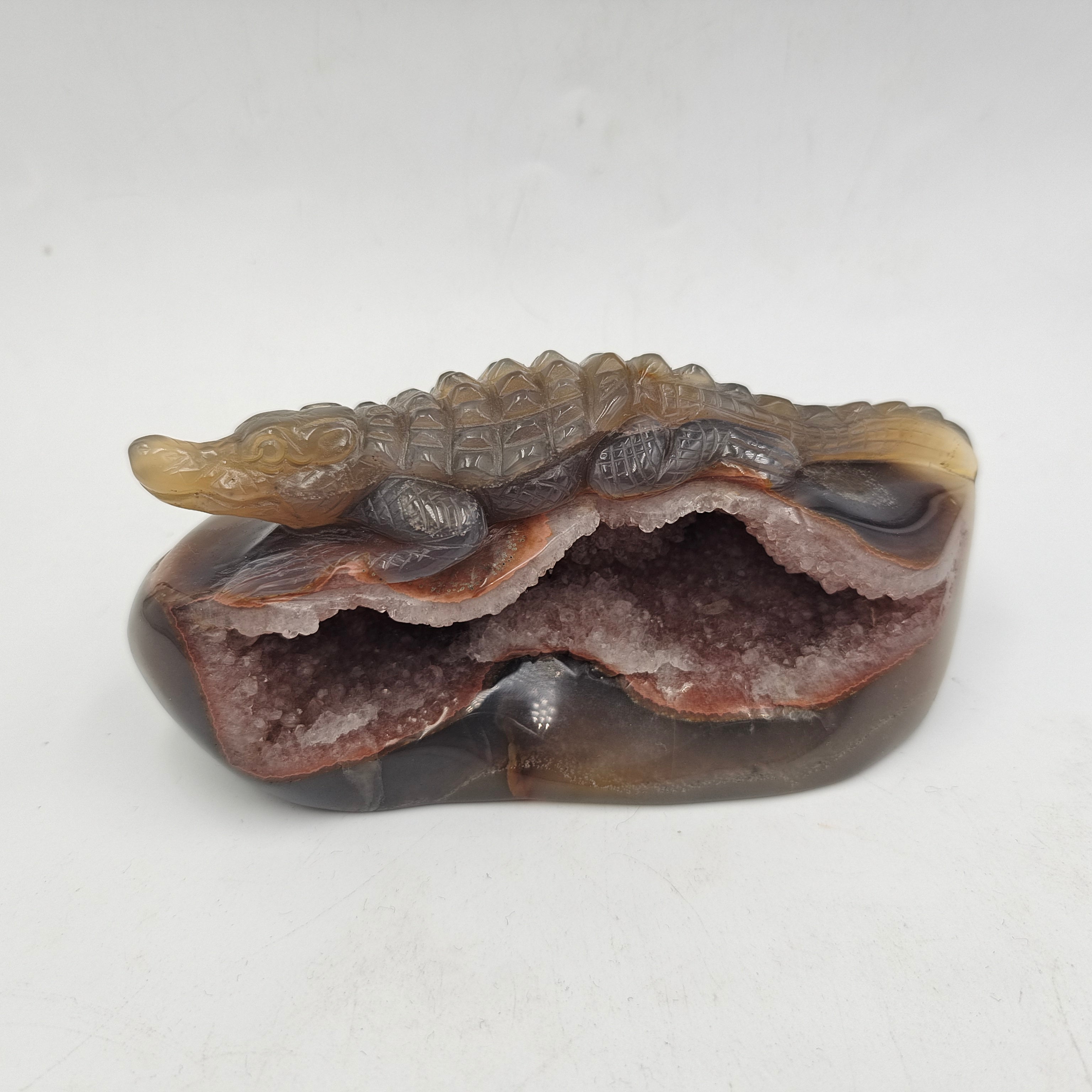 Agate Geode Crocodile