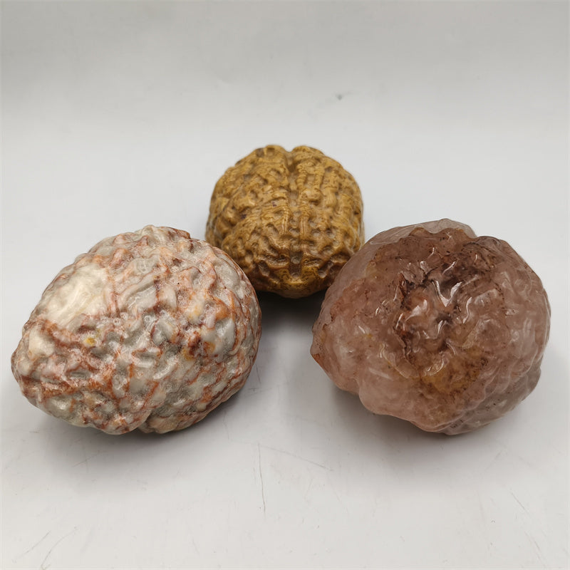 Various material brains