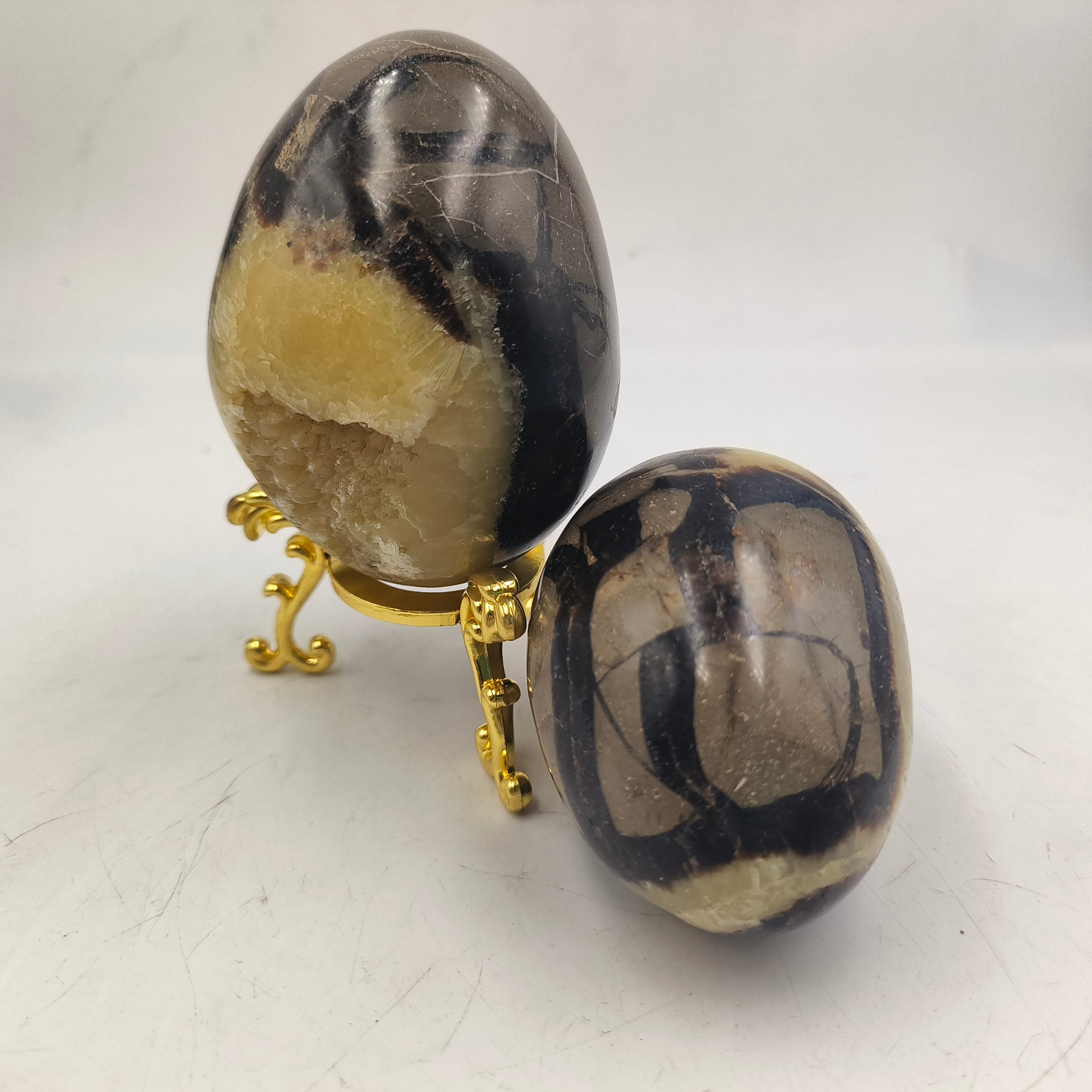 Septarian egg